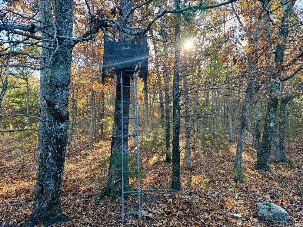 8043 Holly Mountain  Clinton, AR