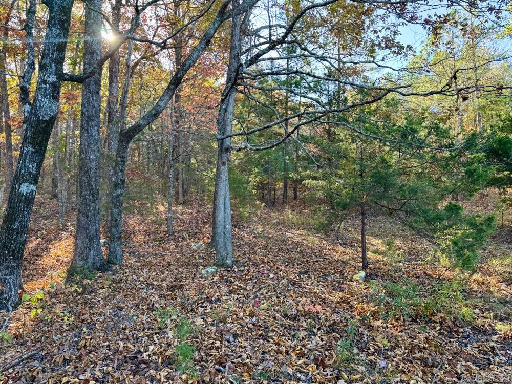 8043 Holly Mountain  Clinton, AR