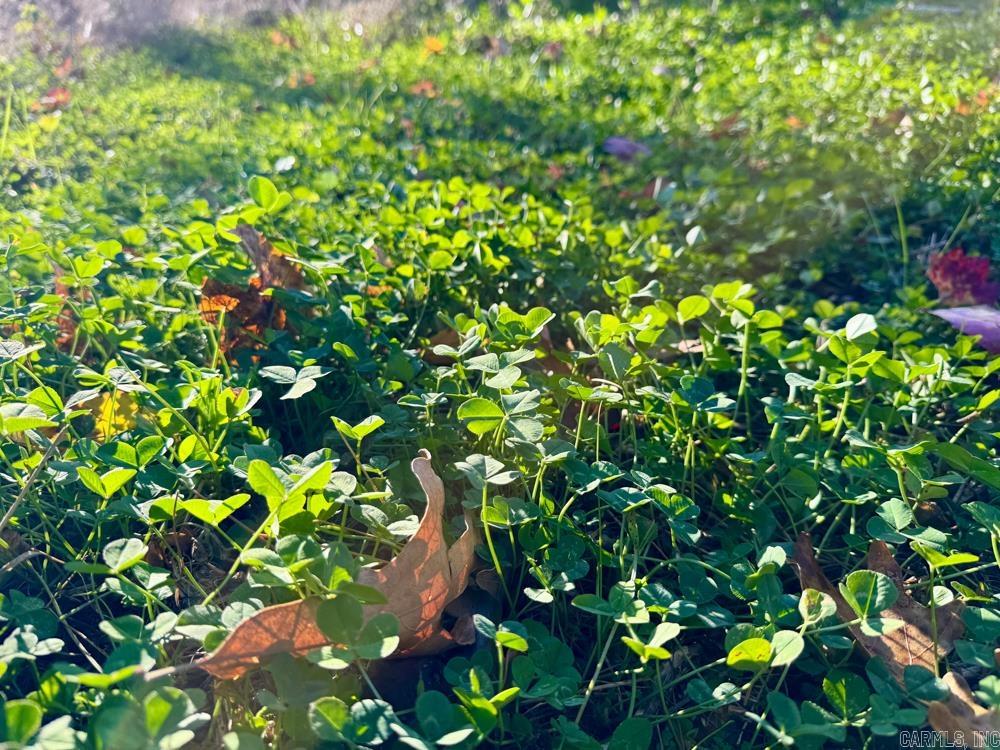 8043 Holly Mountain  Clinton, AR