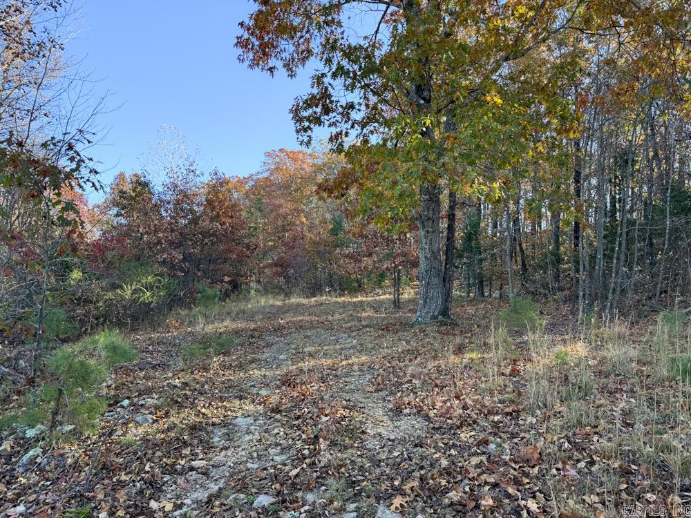 8043 Holly Mountain  Clinton, AR