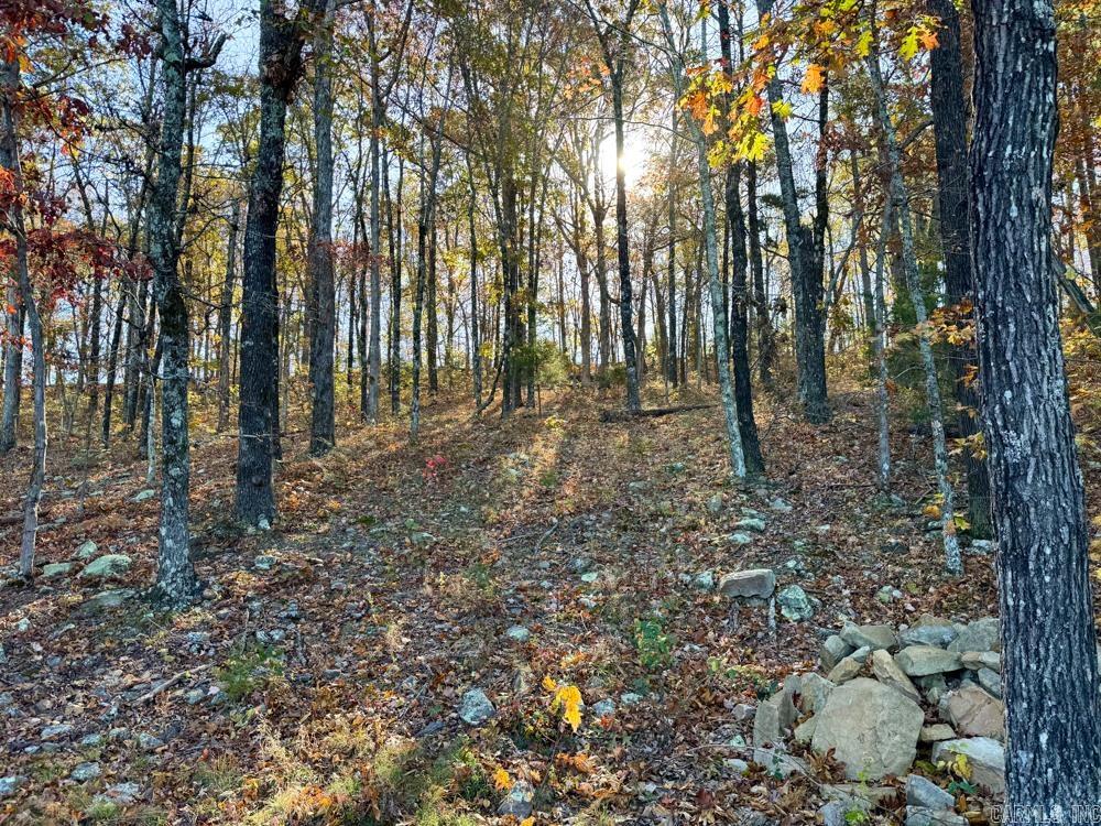 8043 Holly Mountain  Clinton, AR