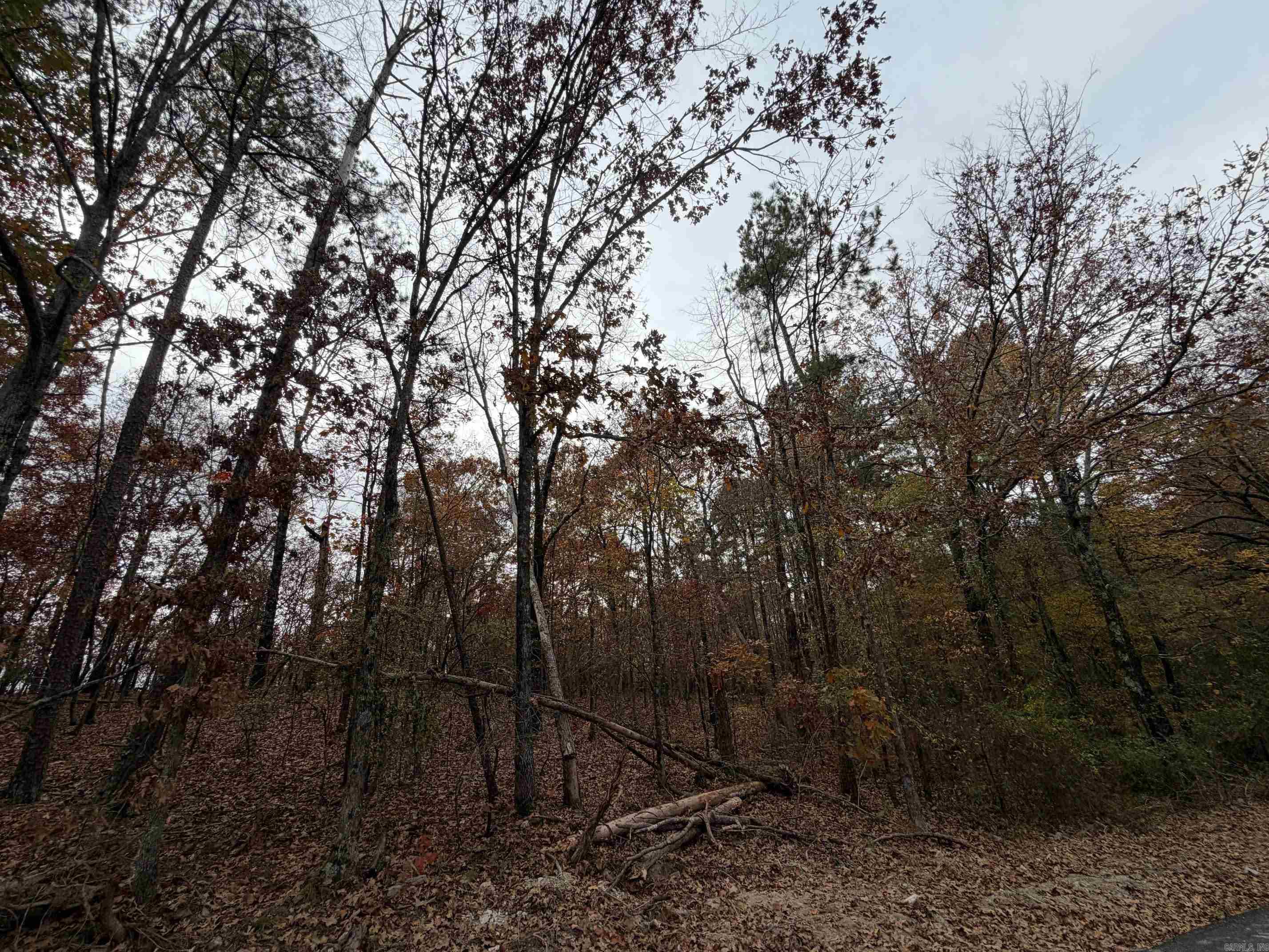 TBD Chattanooga  Hot Springs, AR