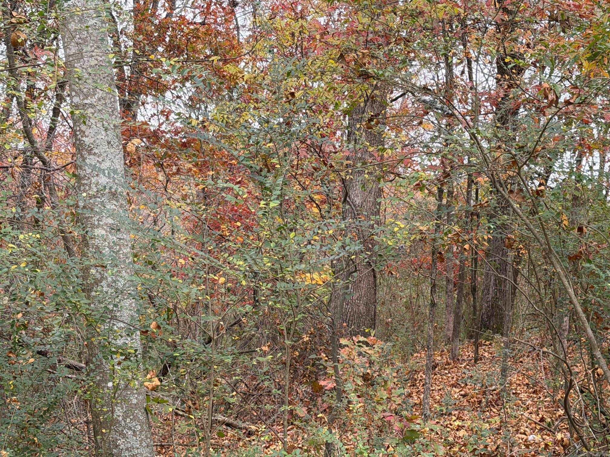 TBD Chattanooga  Hot Springs, AR