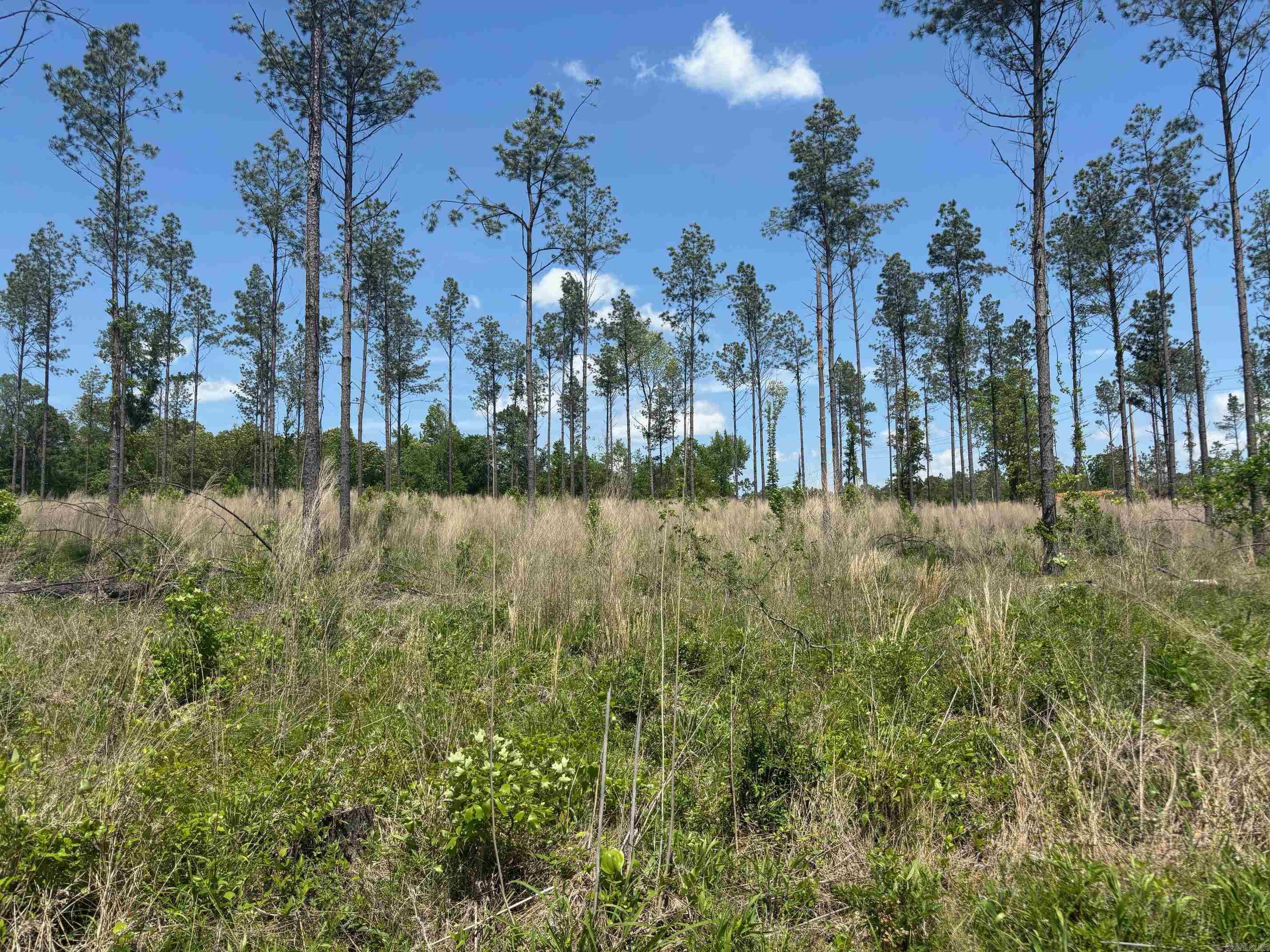 0 Grant 433  Sheridan, AR