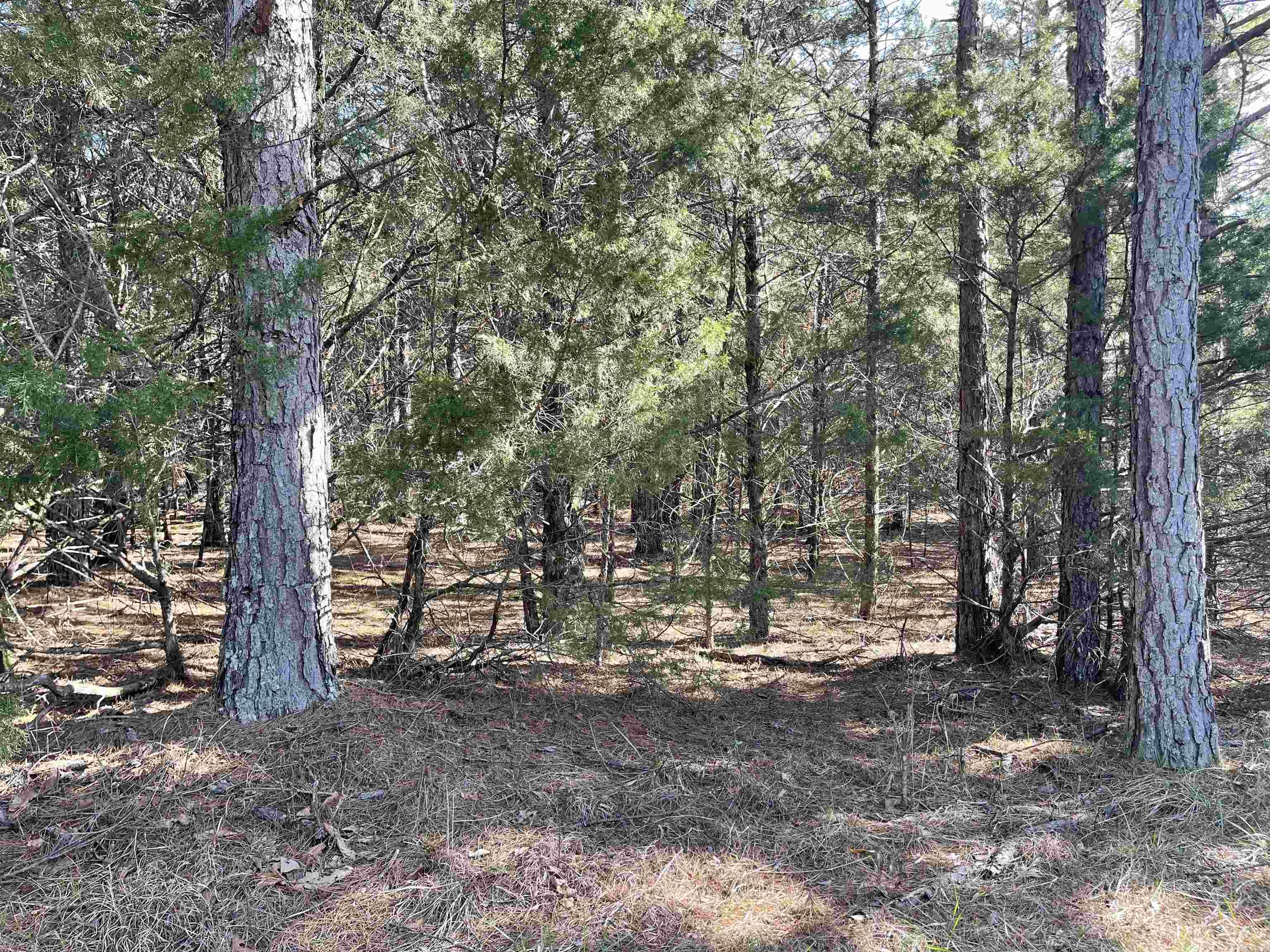 Lot 4 The Greens  Fairfield Bay, AR