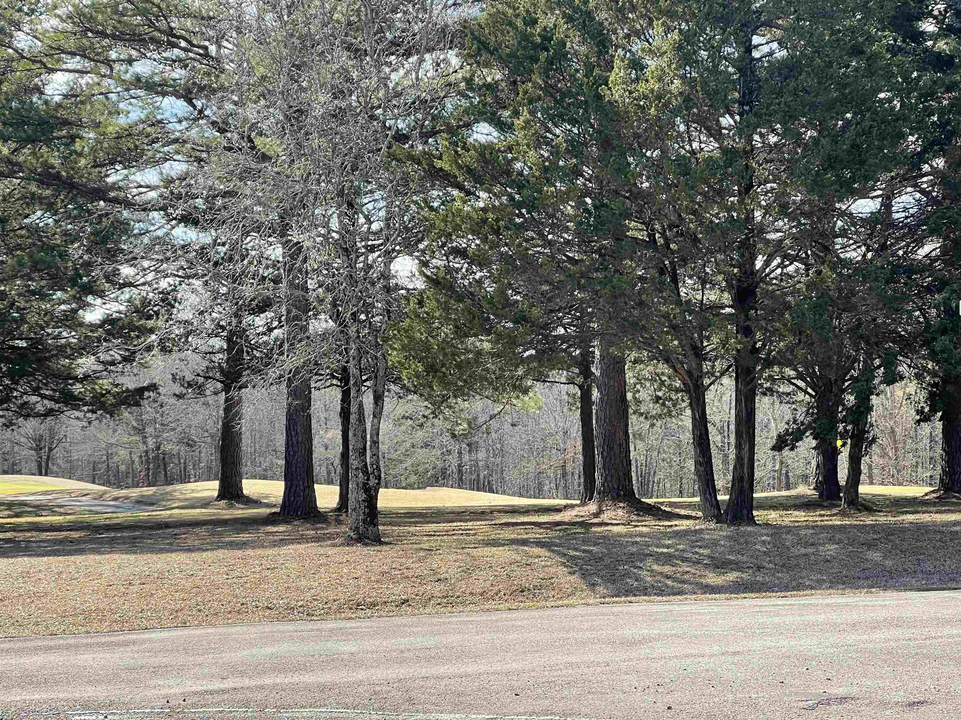 Lot 4 The Greens  Fairfield Bay, AR