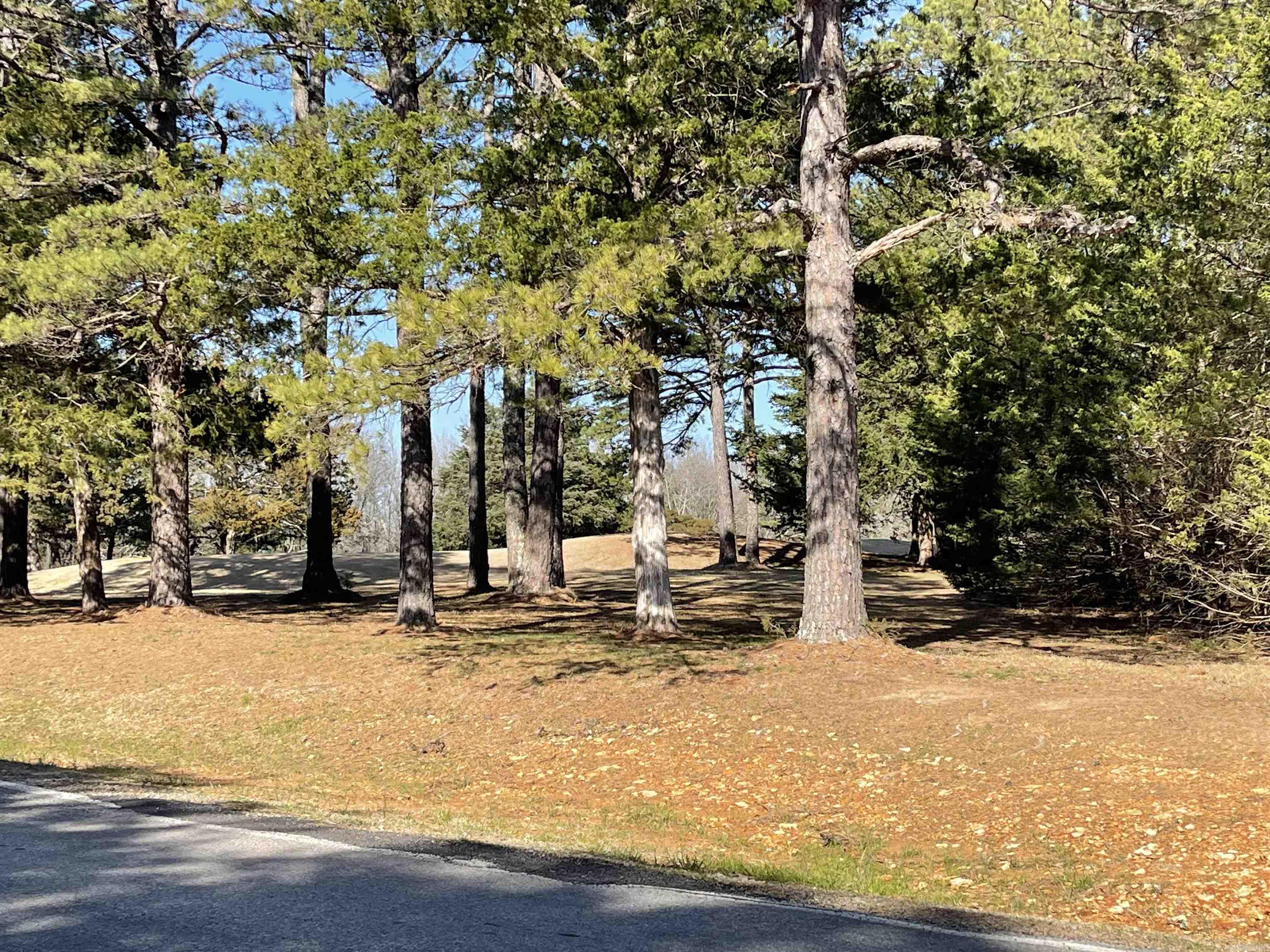 Lot 4 The Greens  Fairfield Bay, AR