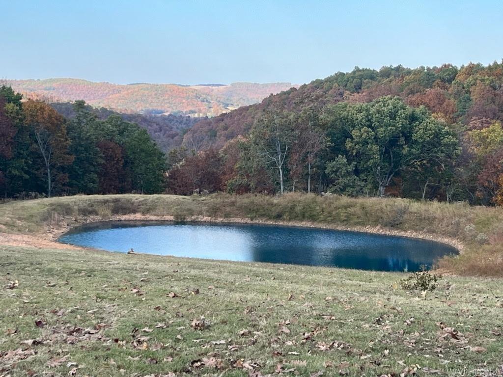 2268 MC 6035  Yellville, AR