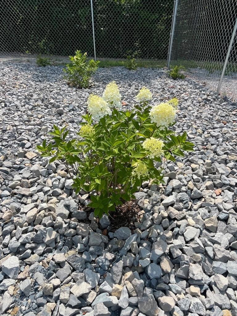 2268 MC 6035  Yellville, AR