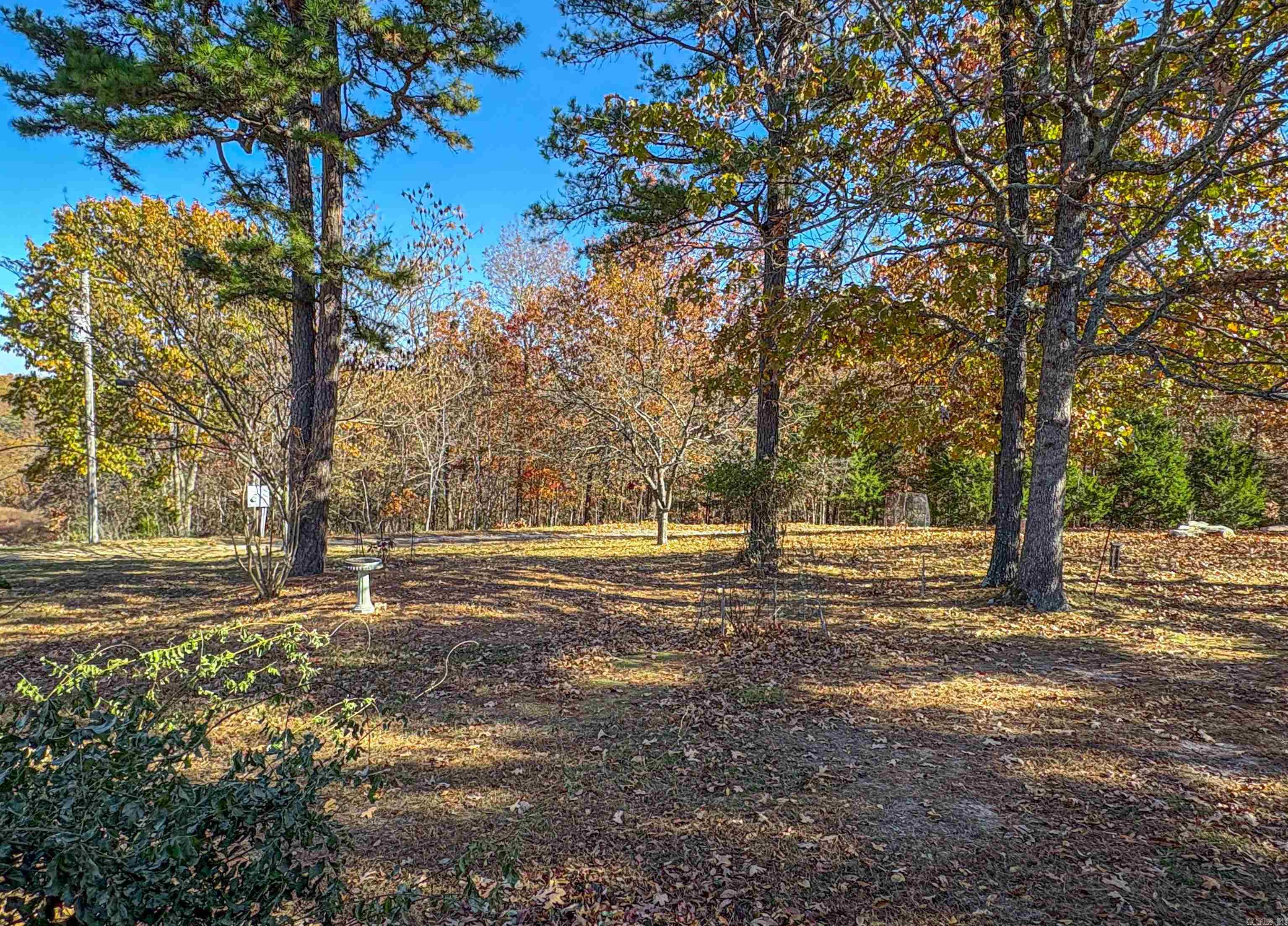 2268 MC 6035  Yellville, AR