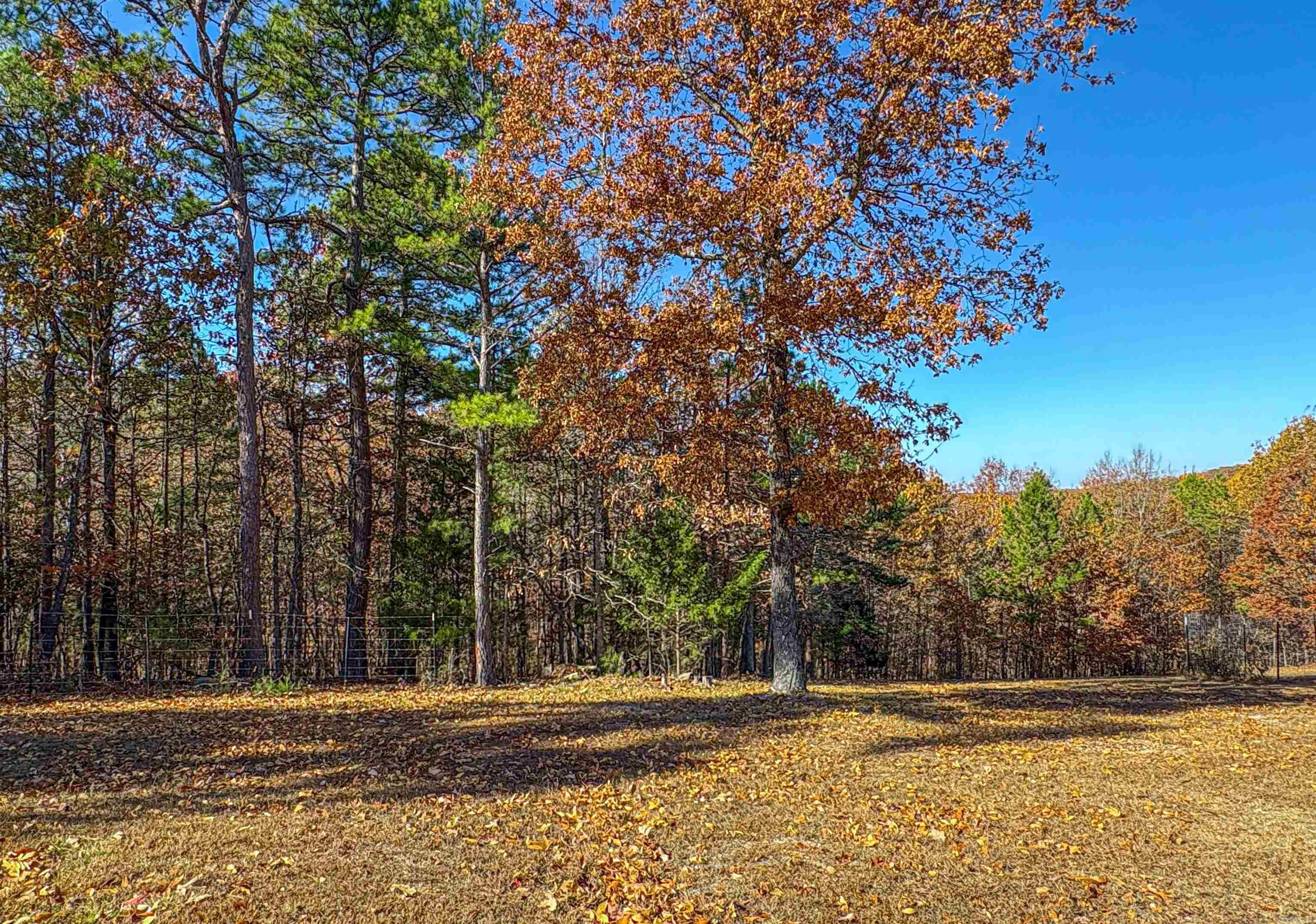 2268 MC 6035  Yellville, AR