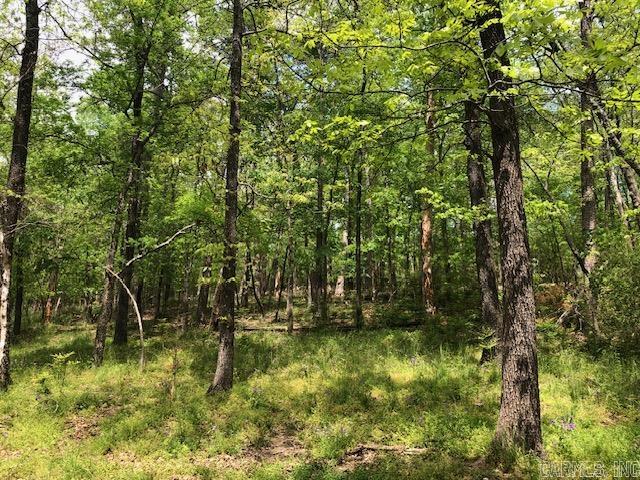 802 Lakeshore 802 A Hot Springs, AR