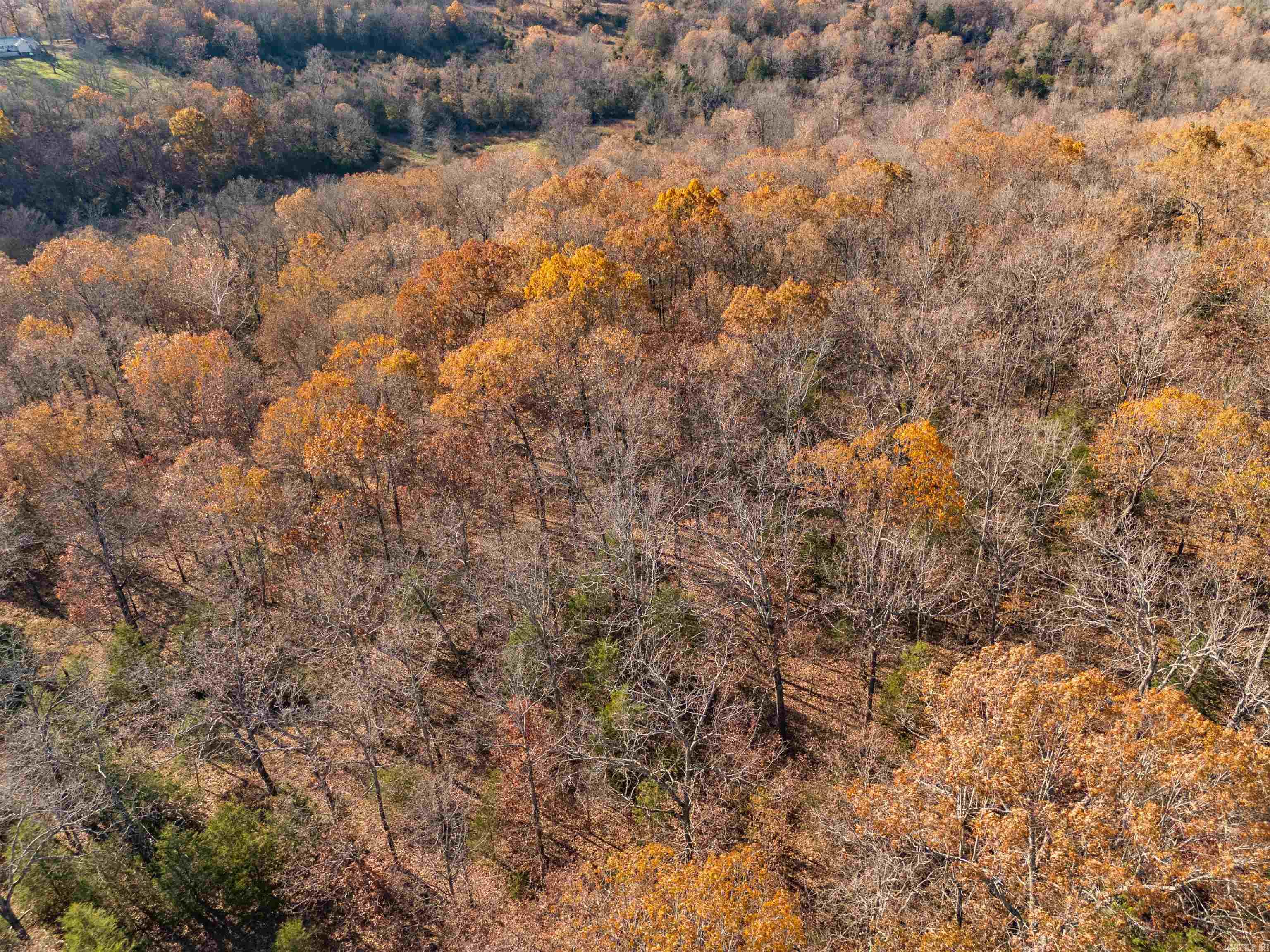 341 Red Hawk Lane  Gamaliel, AR