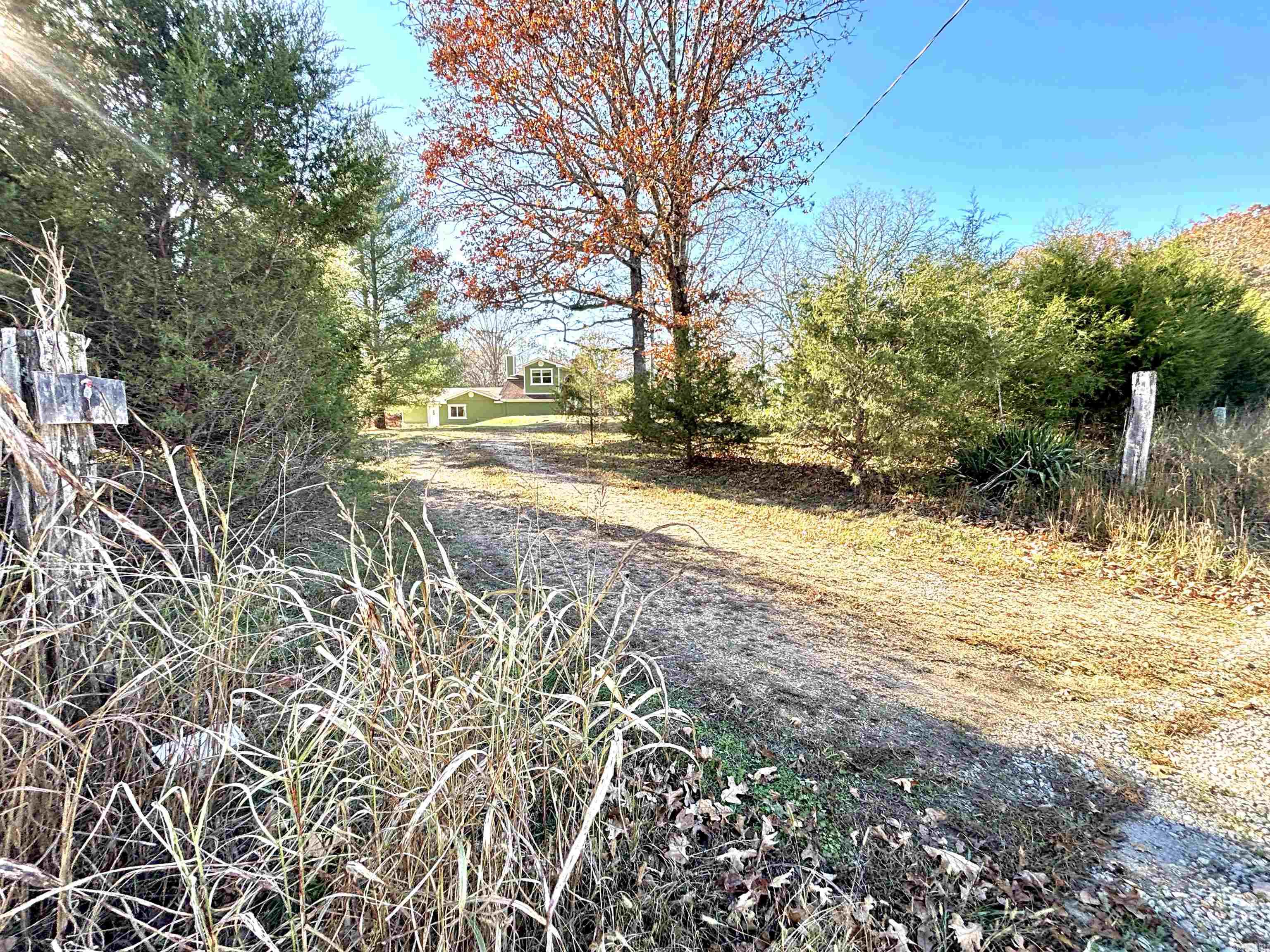 341 Red Hawk Lane  Gamaliel, AR