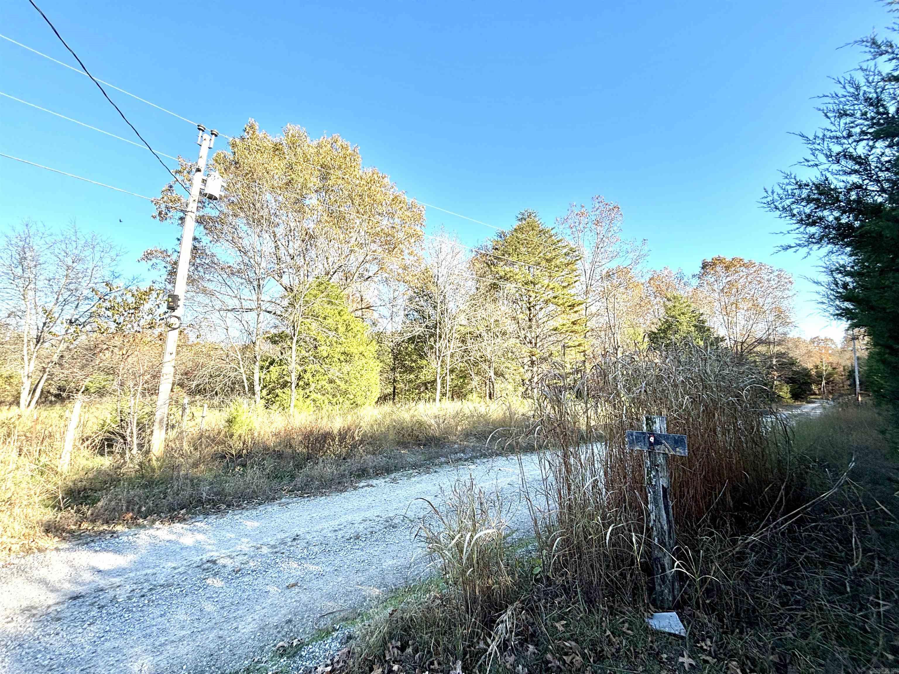 341 Red Hawk Lane  Gamaliel, AR