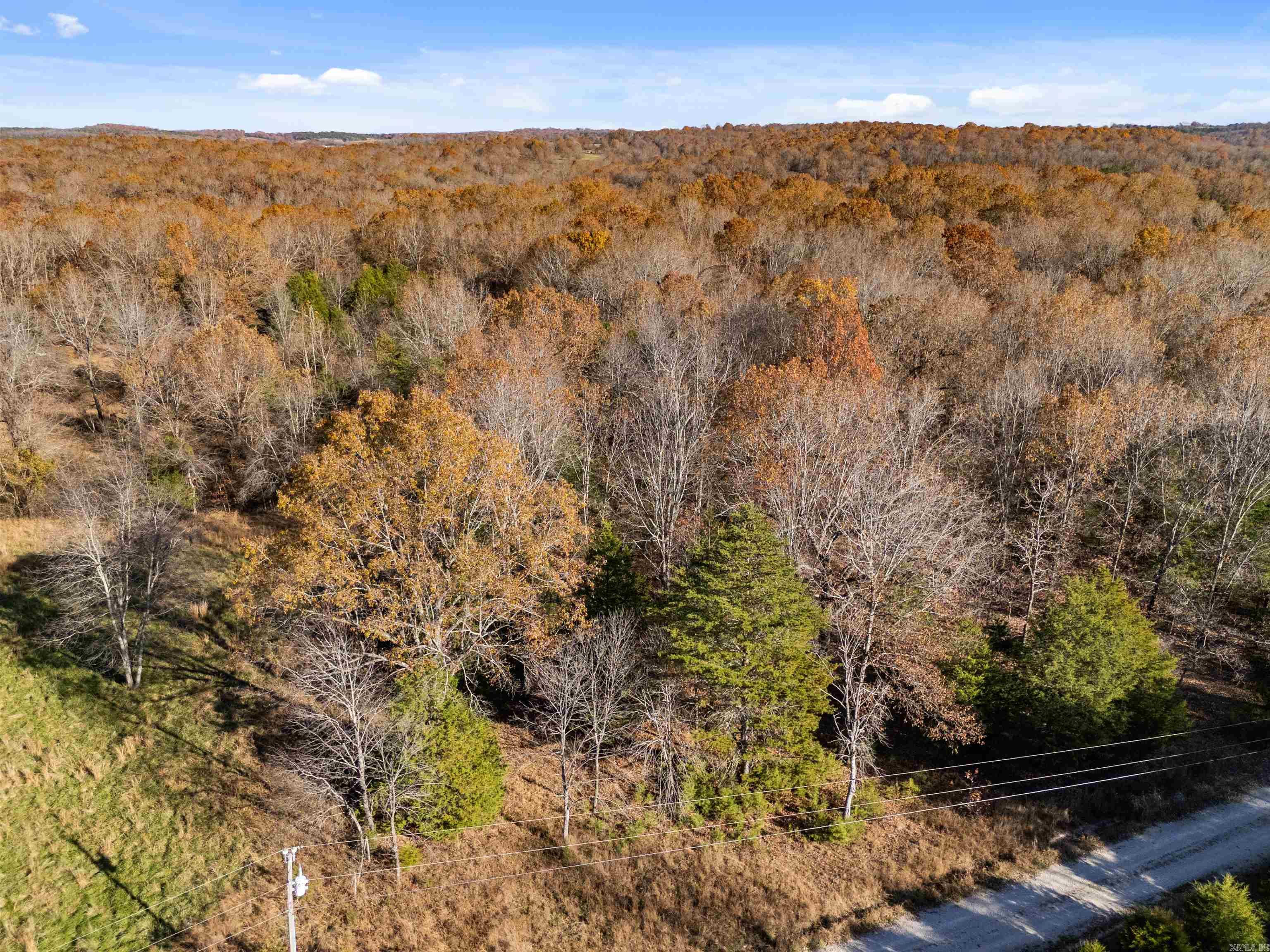 341 Red Hawk Lane  Gamaliel, AR