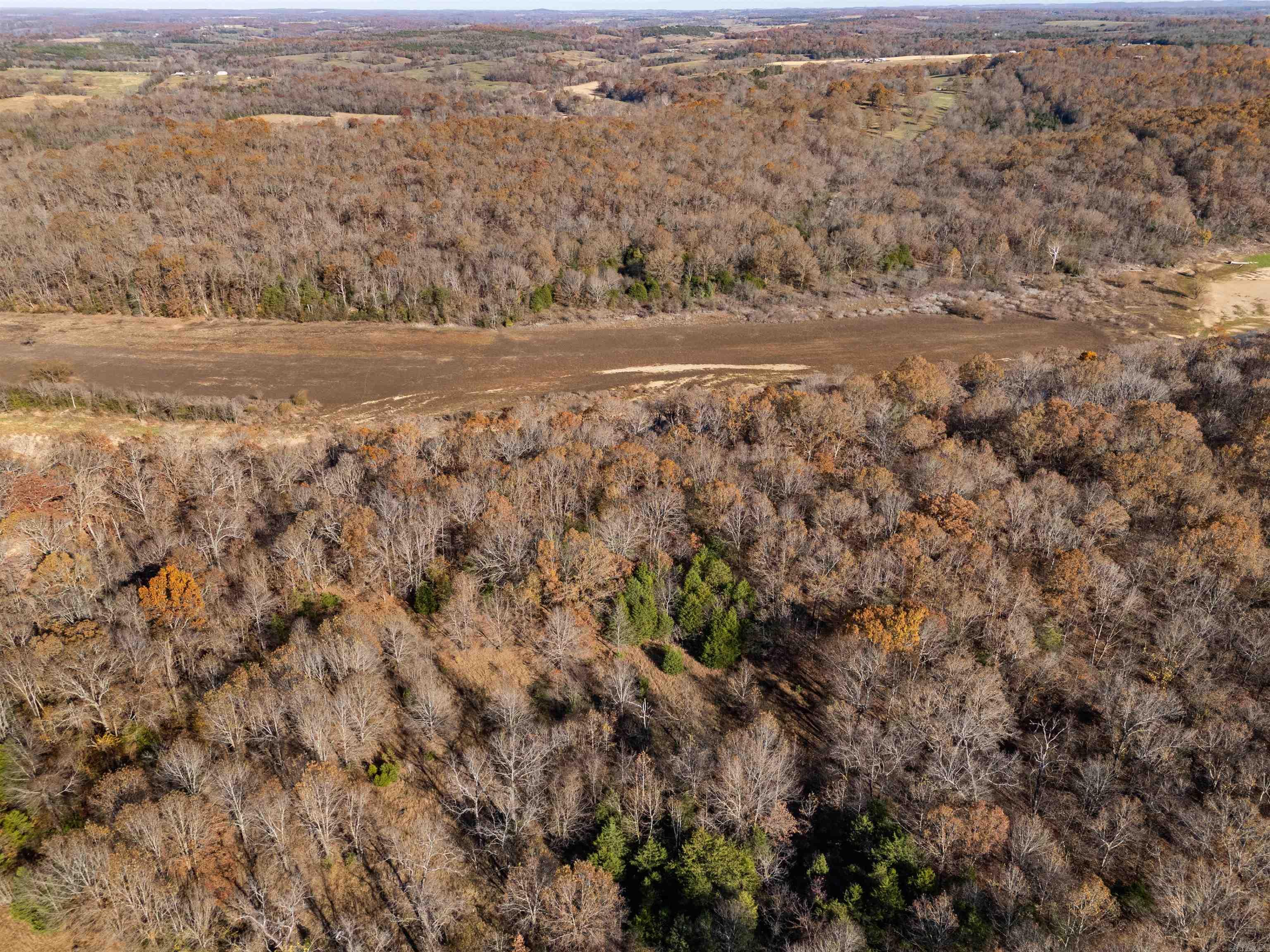 341 Red Hawk Lane  Gamaliel, AR