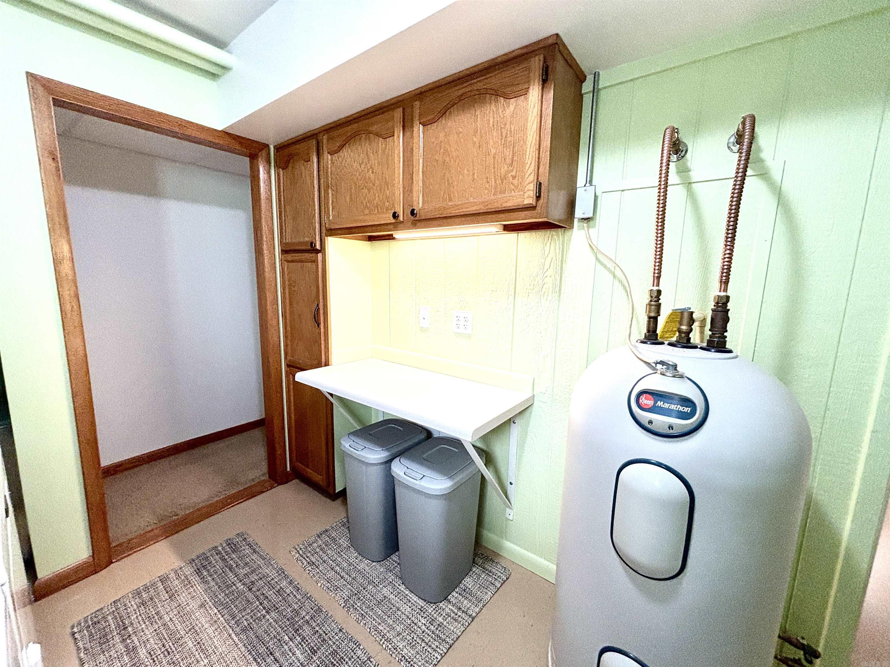 341 Red Hawk Lane  Gamaliel, AR