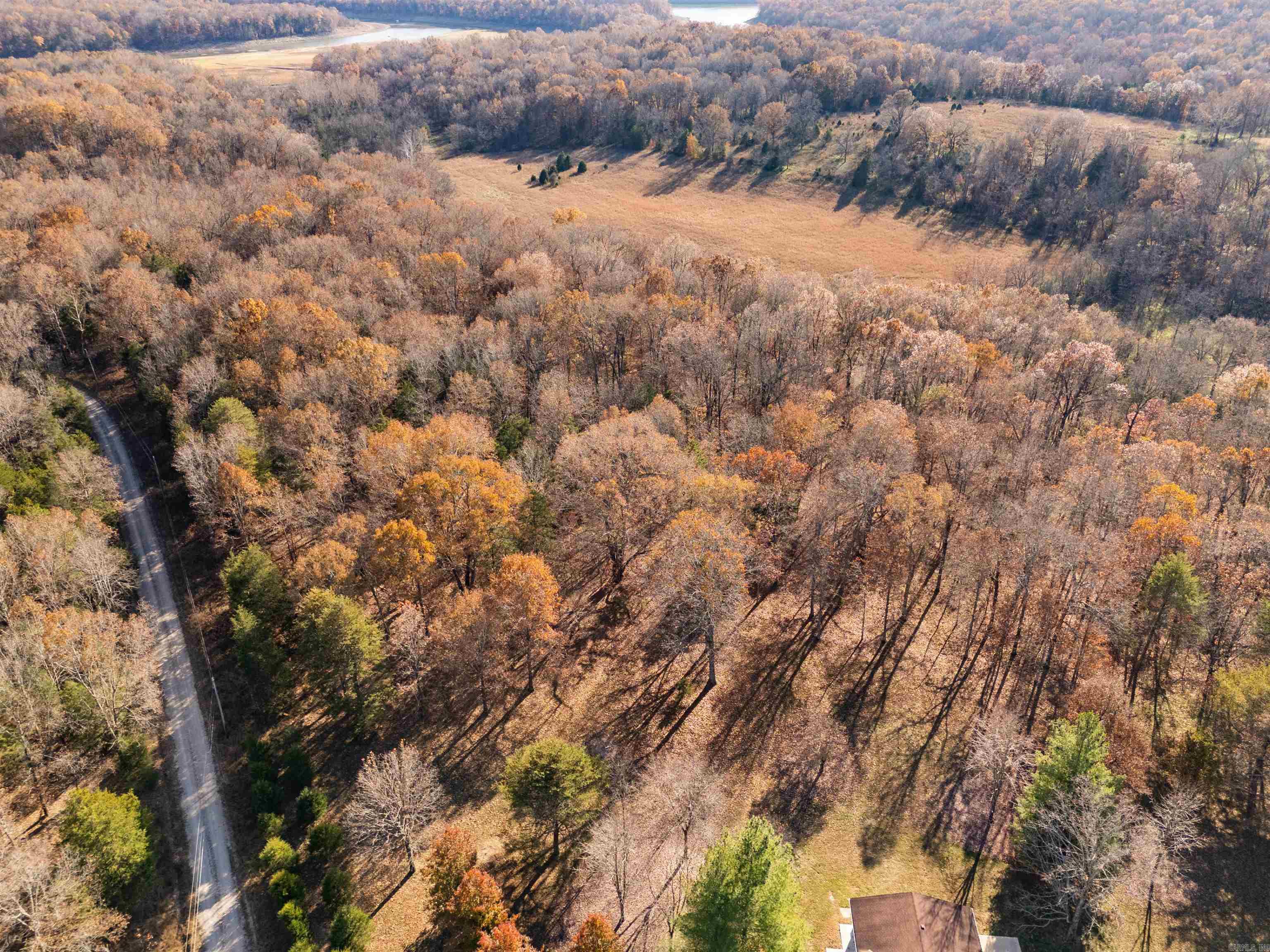 341 Red Hawk Lane  Gamaliel, AR