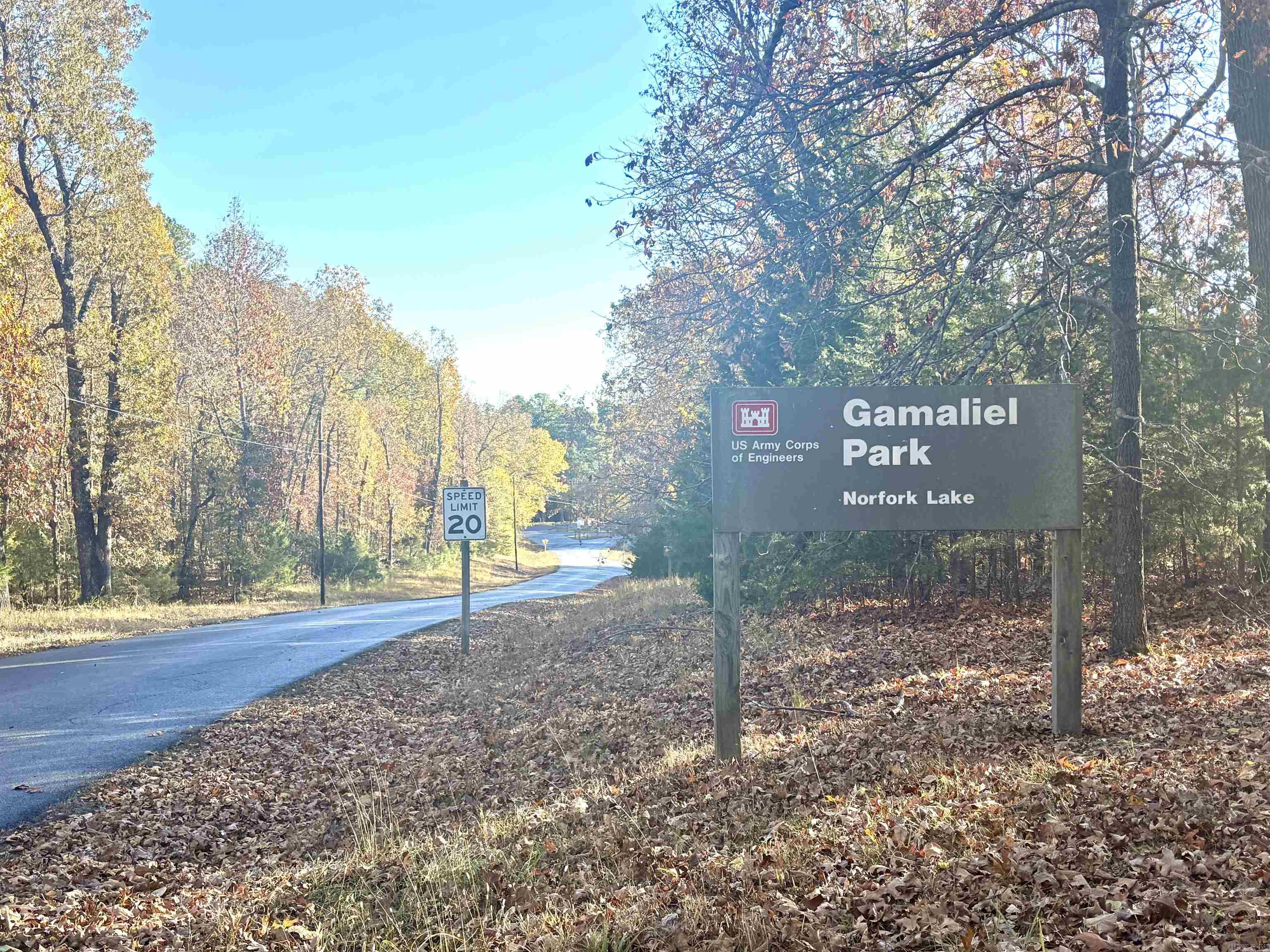 341 Red Hawk Lane  Gamaliel, AR