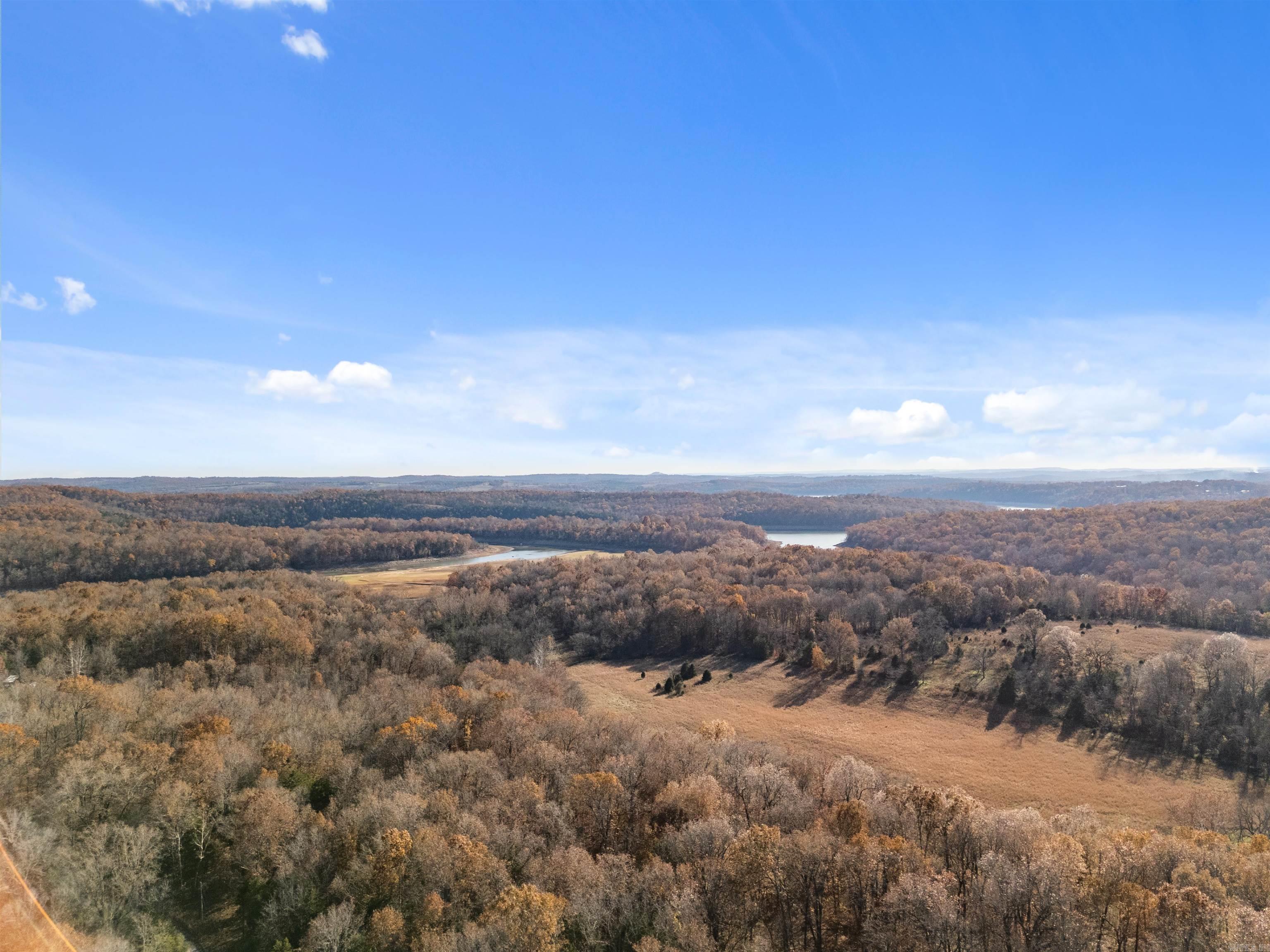 341 Red Hawk Lane  Gamaliel, AR