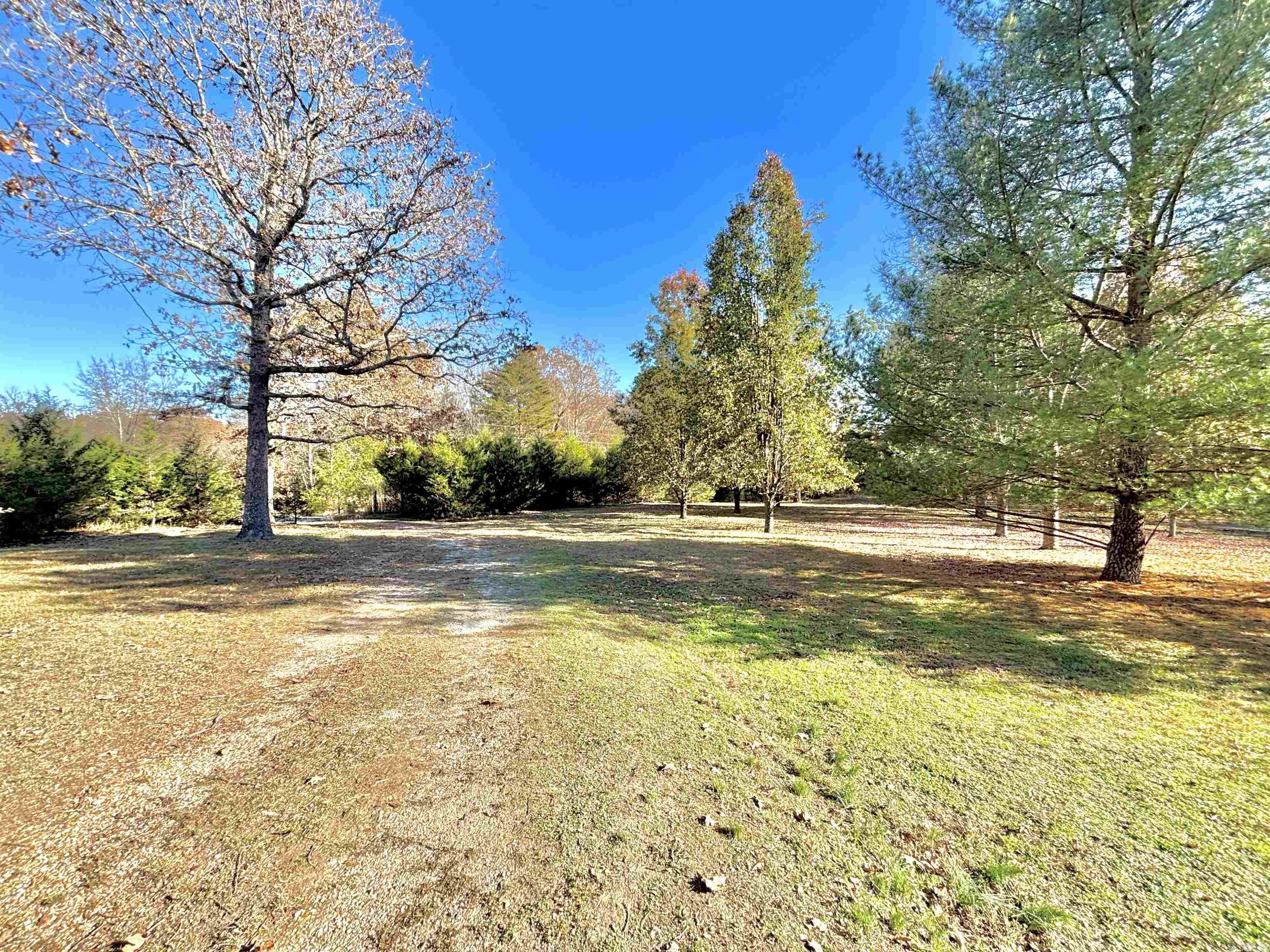 341 Red Hawk Lane  Gamaliel, AR