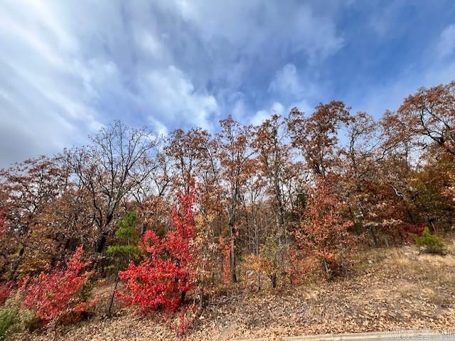 18 Ridgecrest Drive  Cabot, AR