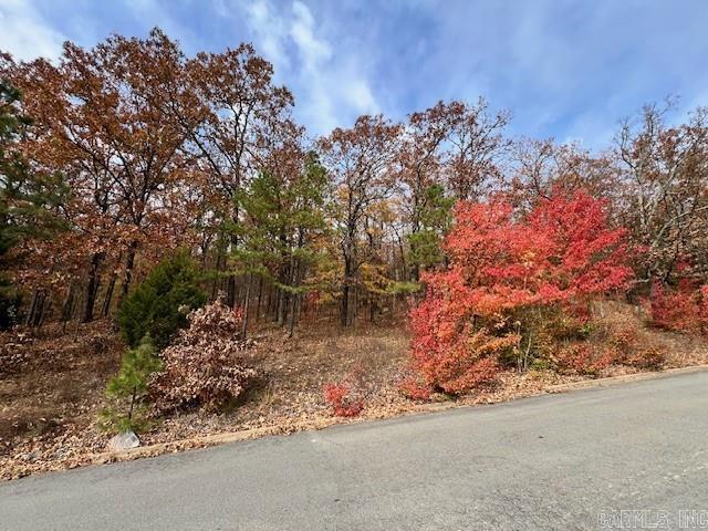 18 Ridgecrest Drive  Cabot, AR