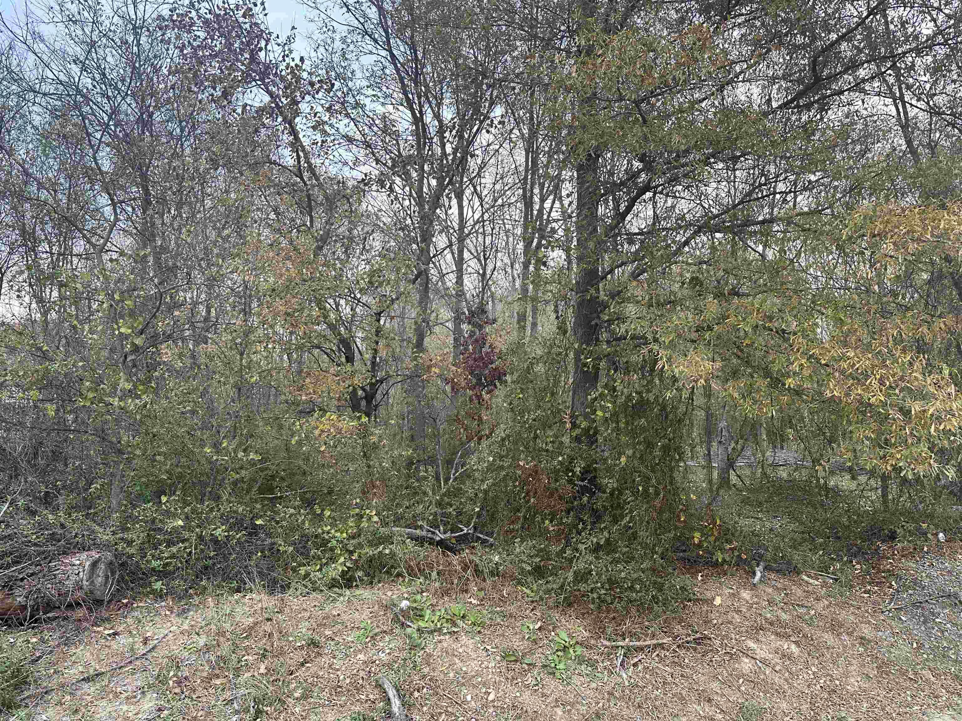 0 Main St  Alicia, AR