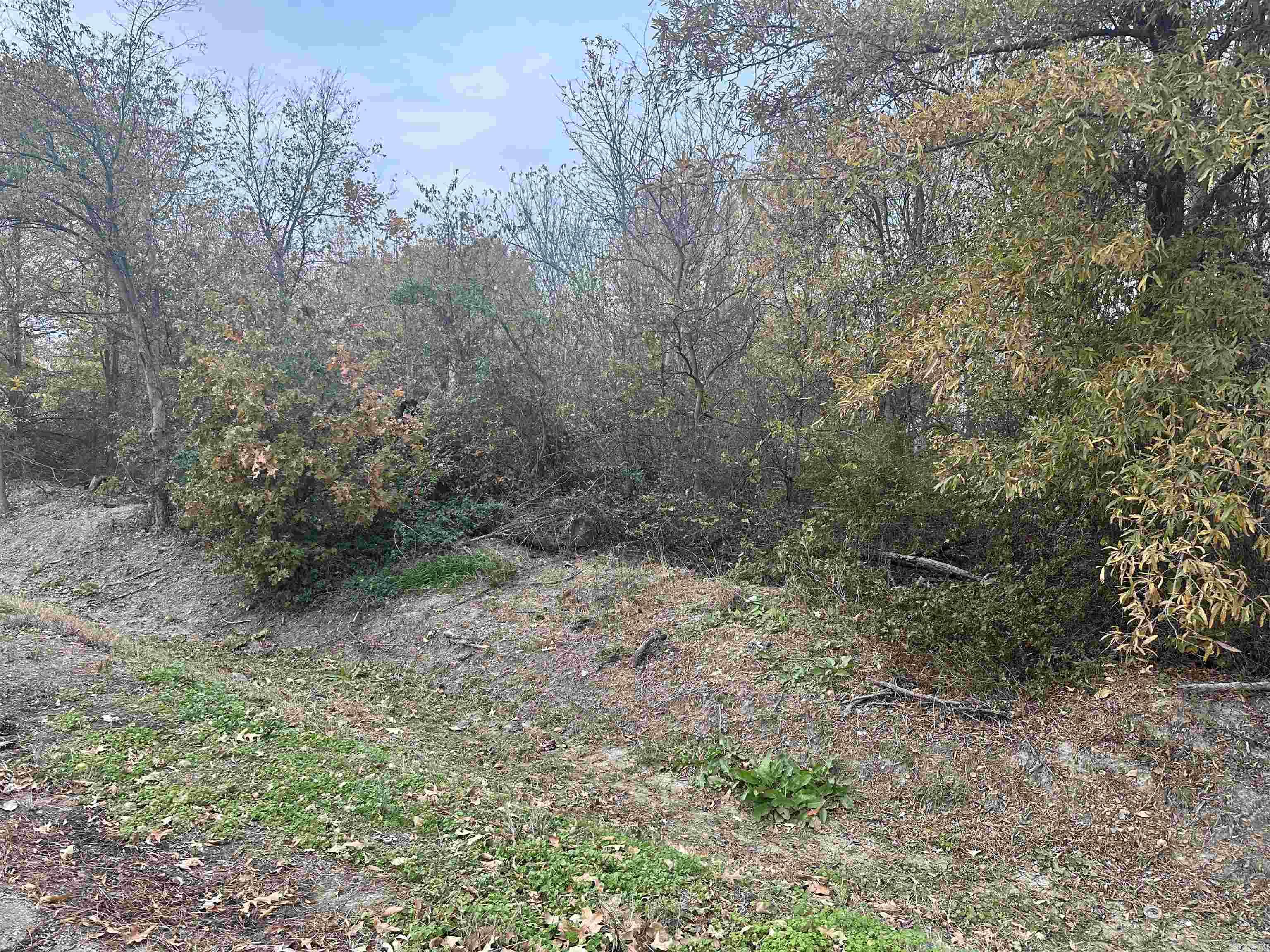 0 Main St  Alicia, AR