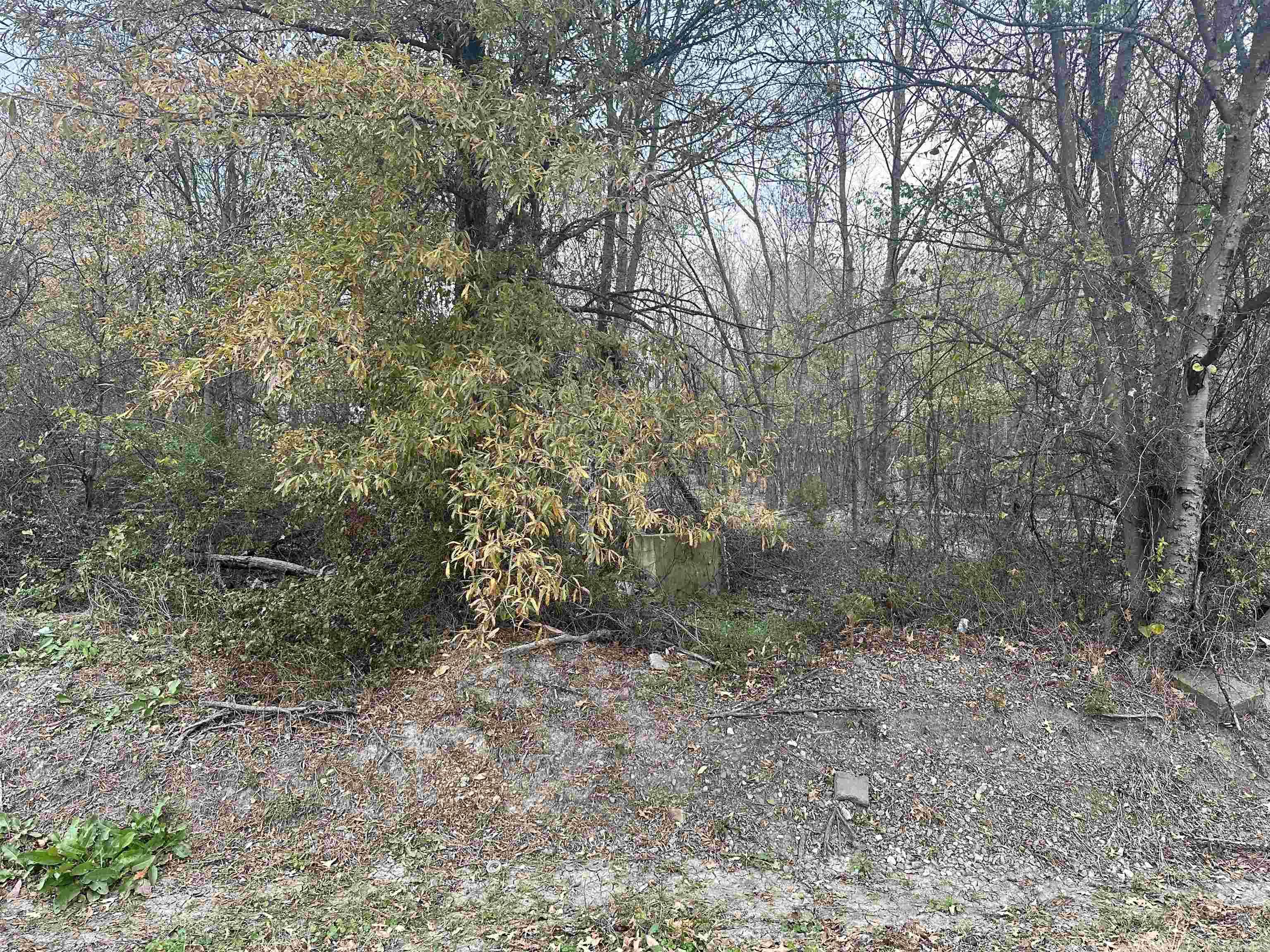 0 Main St  Alicia, AR