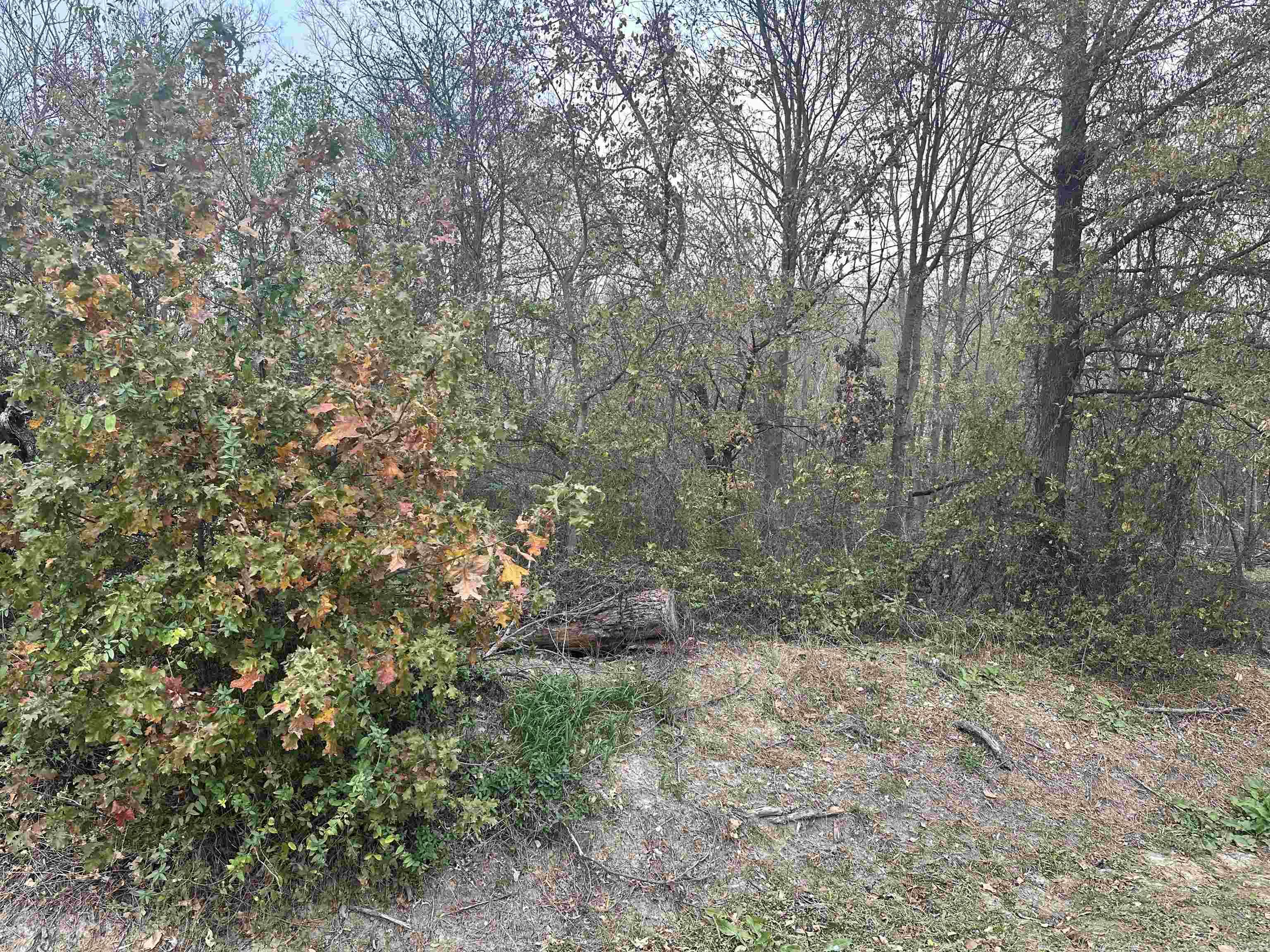 0 Main St  Alicia, AR