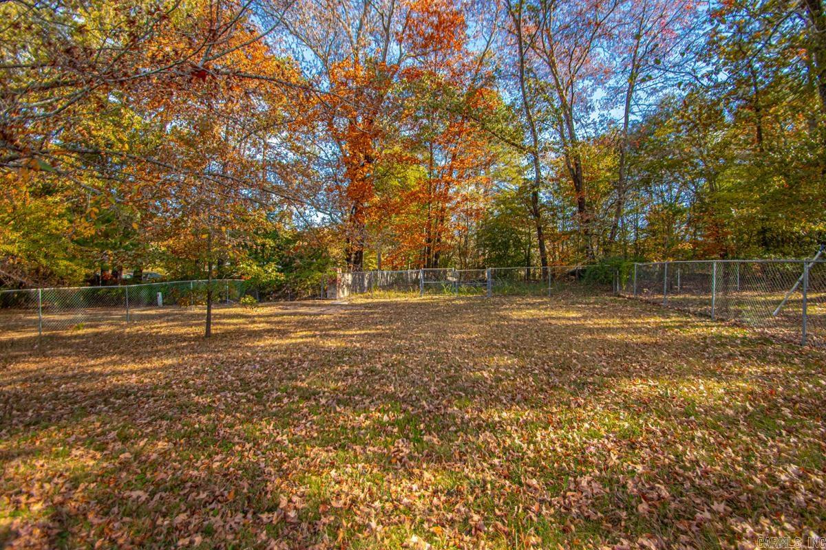 19 Leprechaun  Alexander, AR