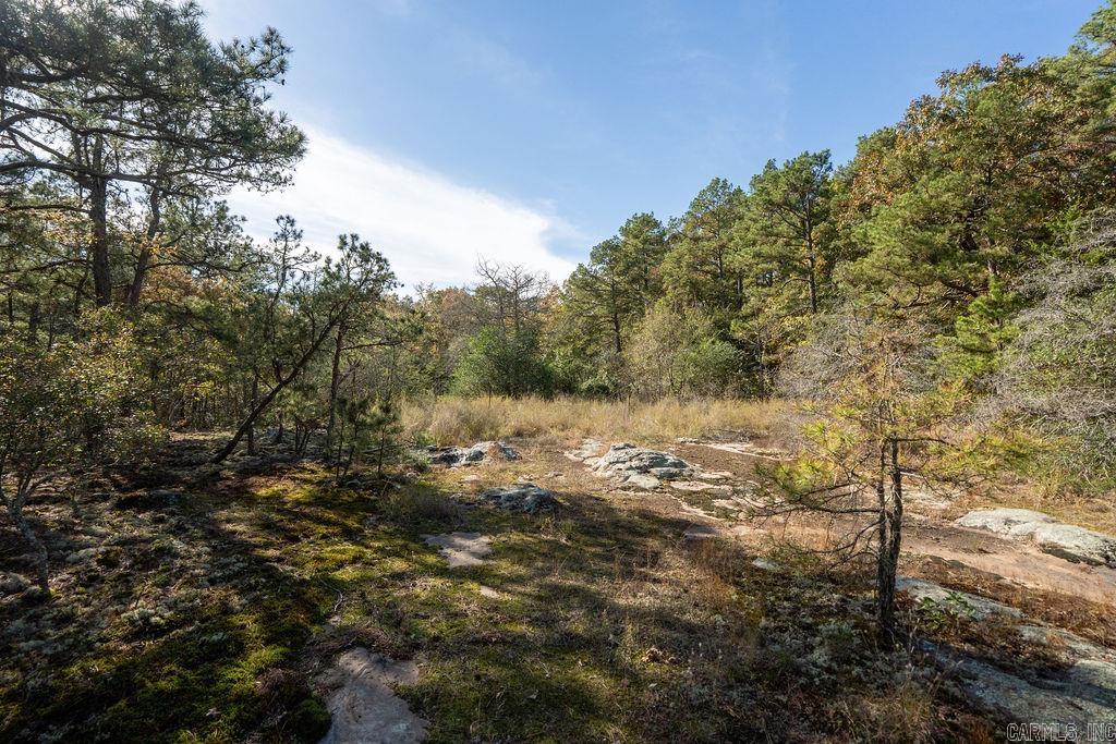 879 Woody Trl  Higden, AR