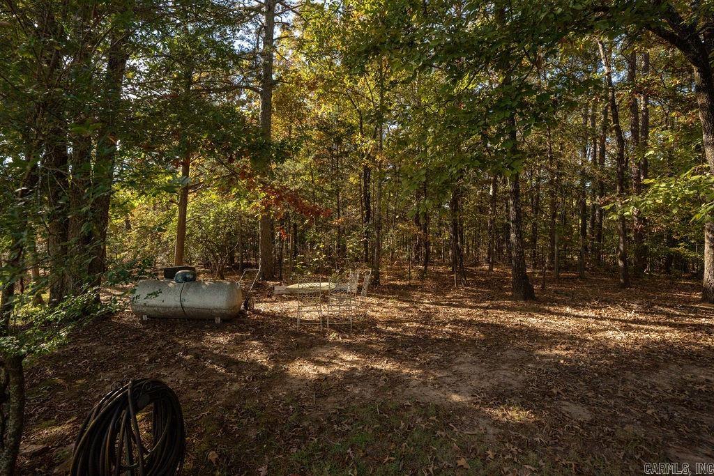 879 Woody Trl  Higden, AR