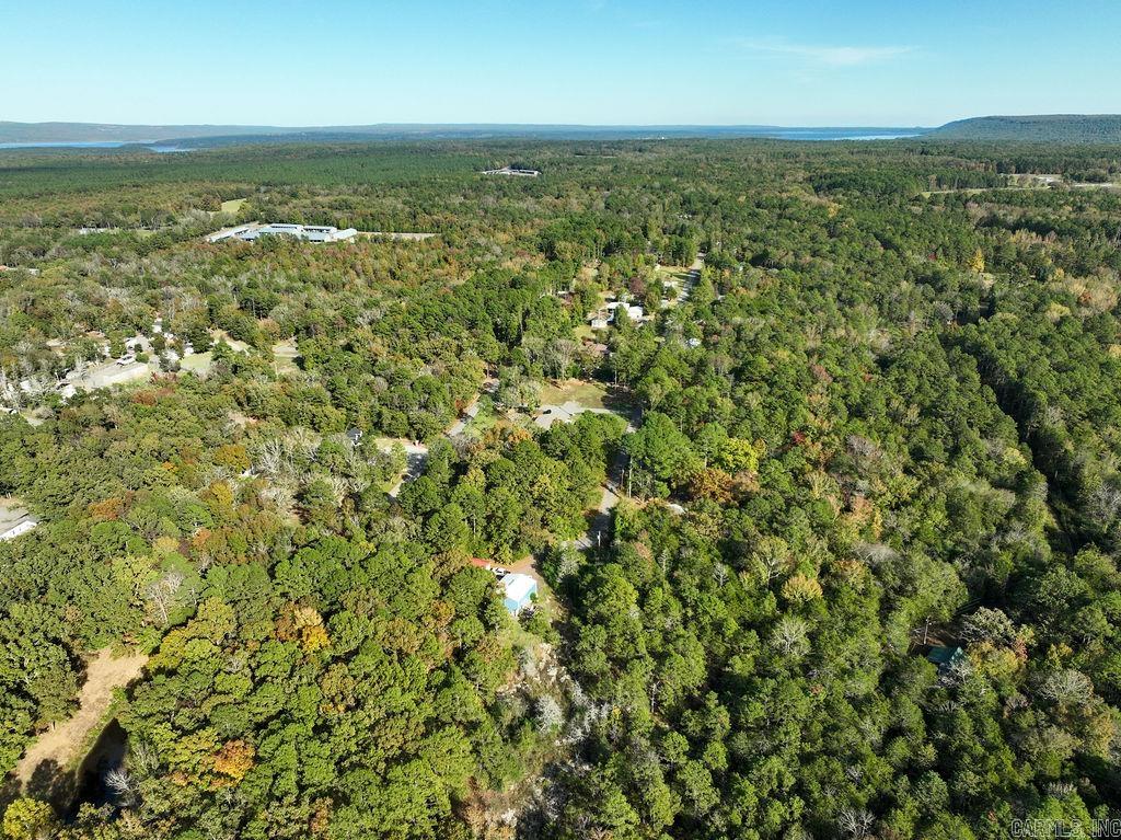 879 Woody Trl  Higden, AR