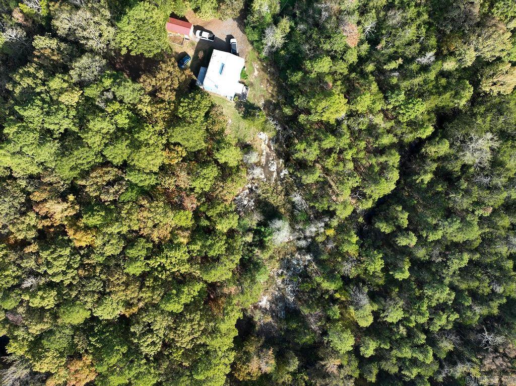 879 Woody Trl  Higden, AR