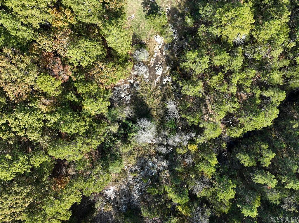 879 Woody Trl  Higden, AR