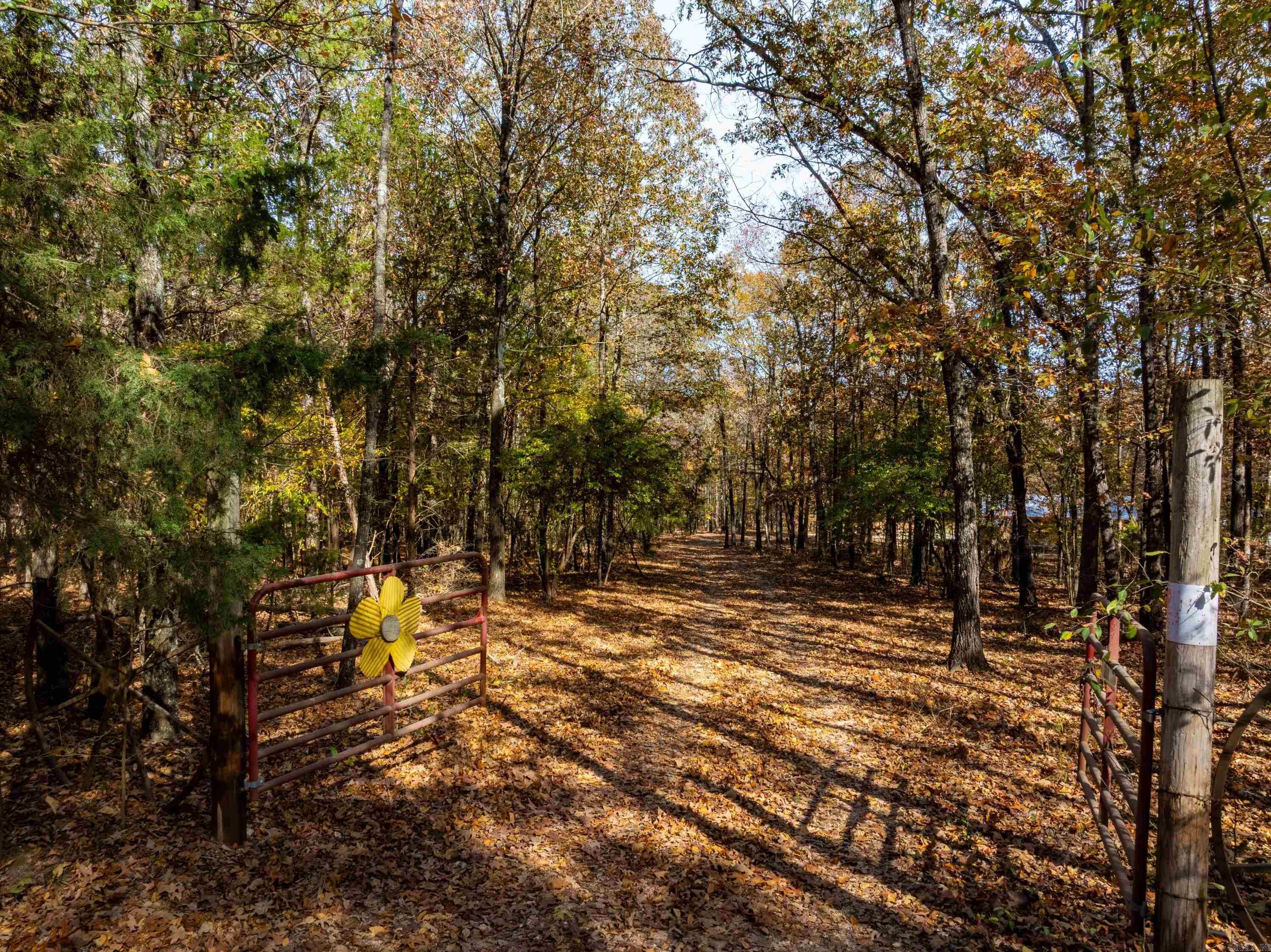 253 Judge Anderson Rd  Smithville, AR