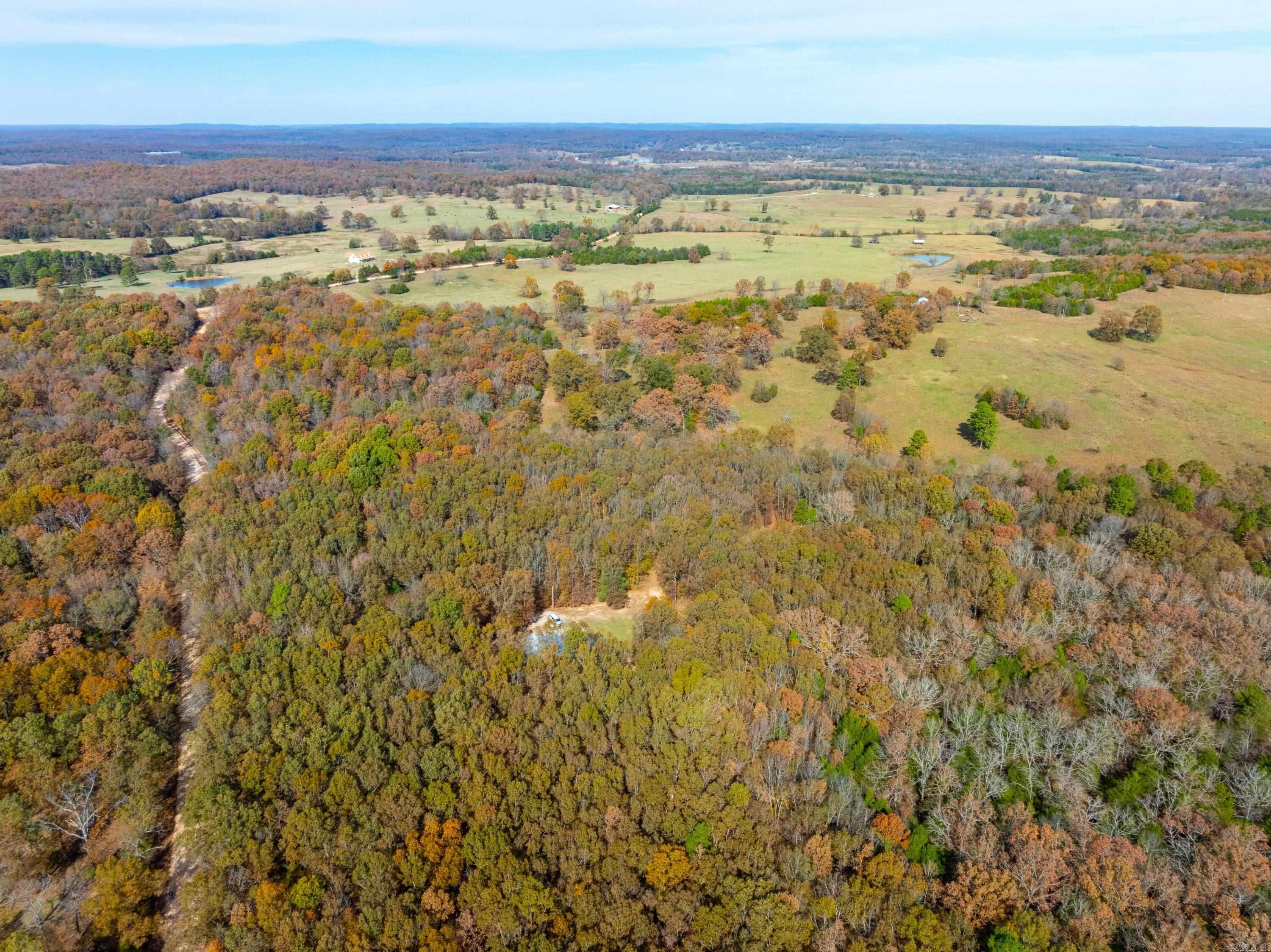 253 Judge Anderson Rd  Smithville, AR