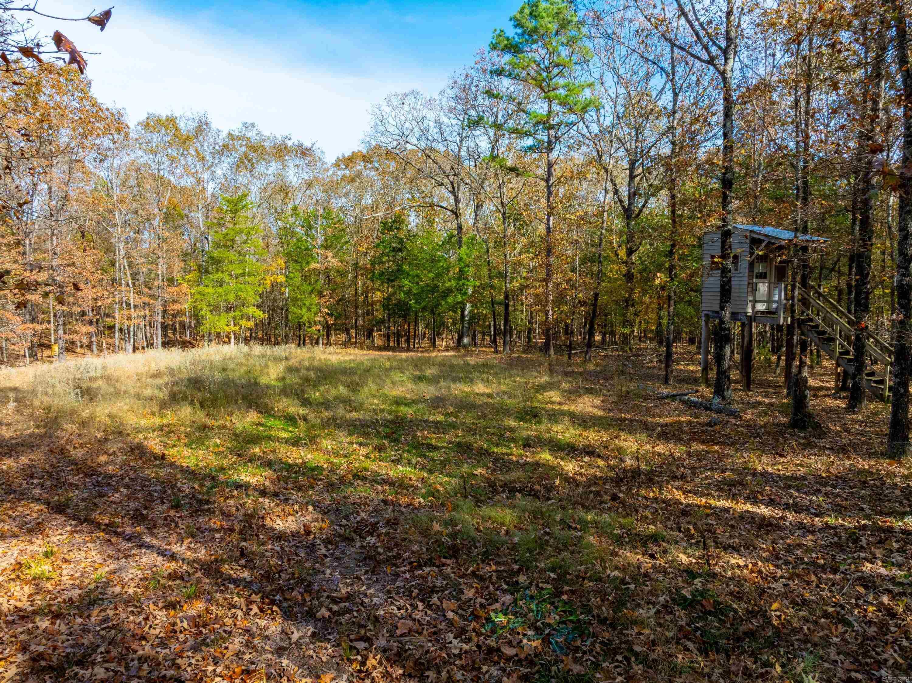 253 Judge Anderson Rd  Smithville, AR