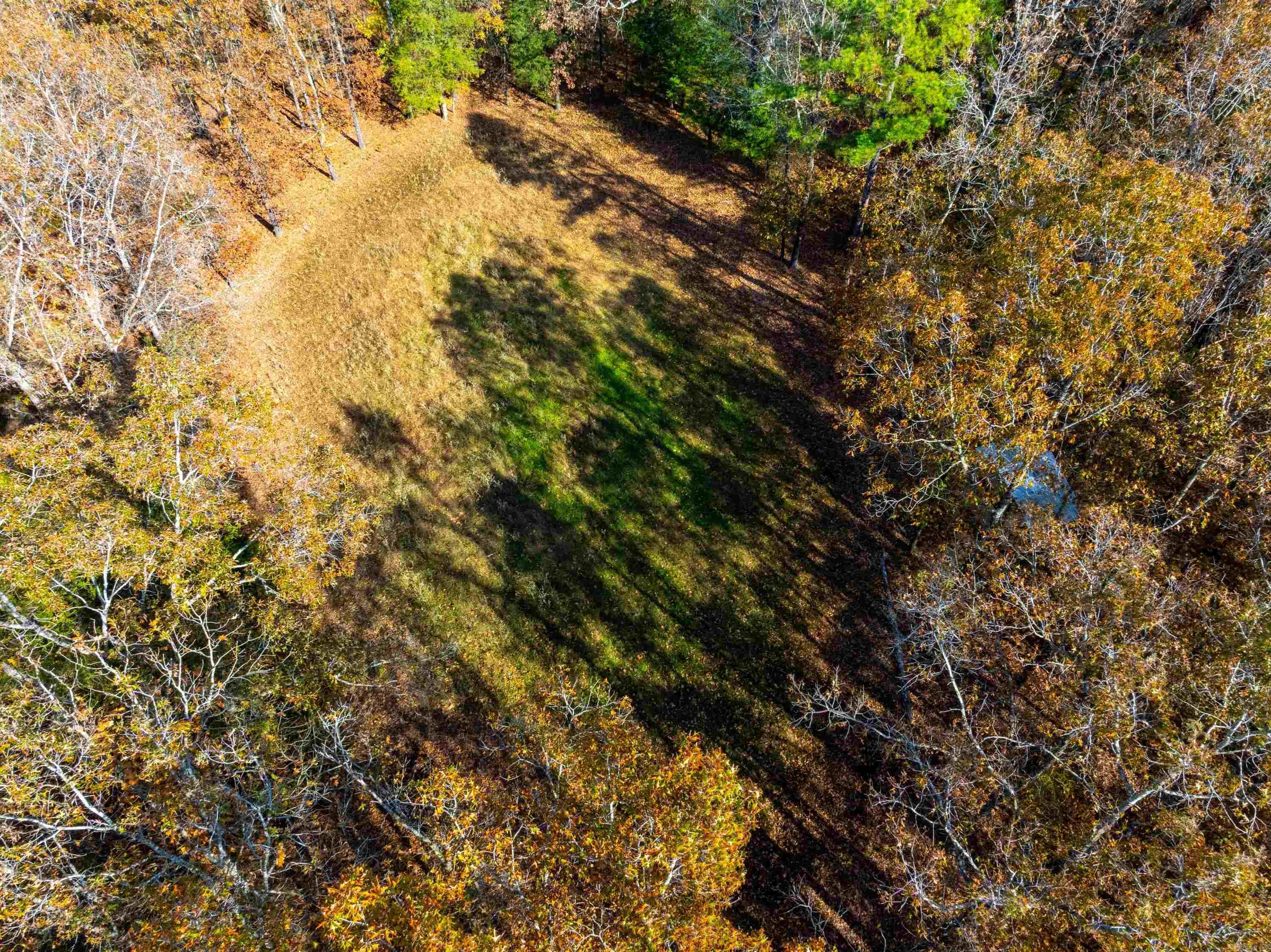 253 Judge Anderson Rd  Smithville, AR