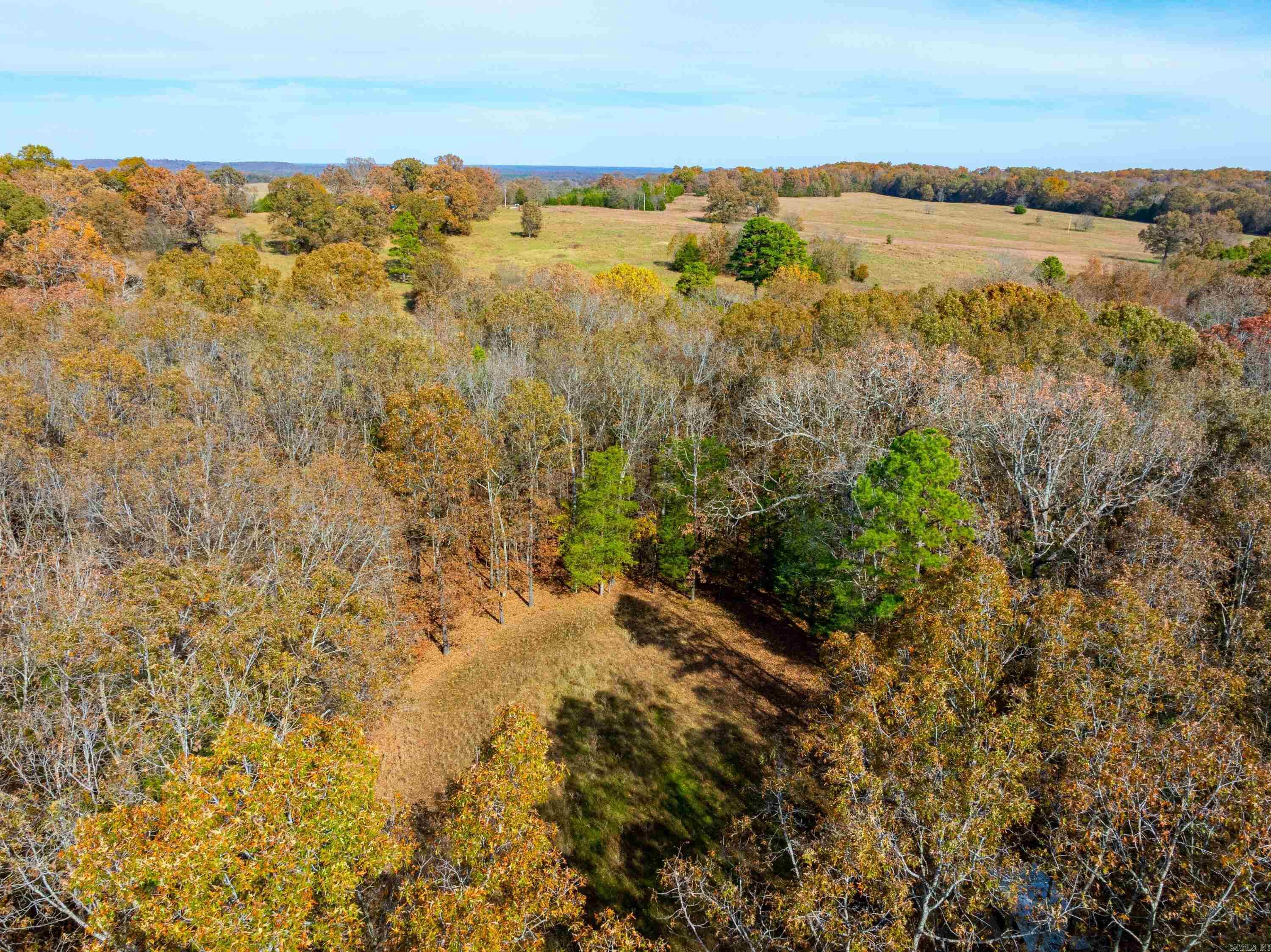 253 Judge Anderson Rd  Smithville, AR