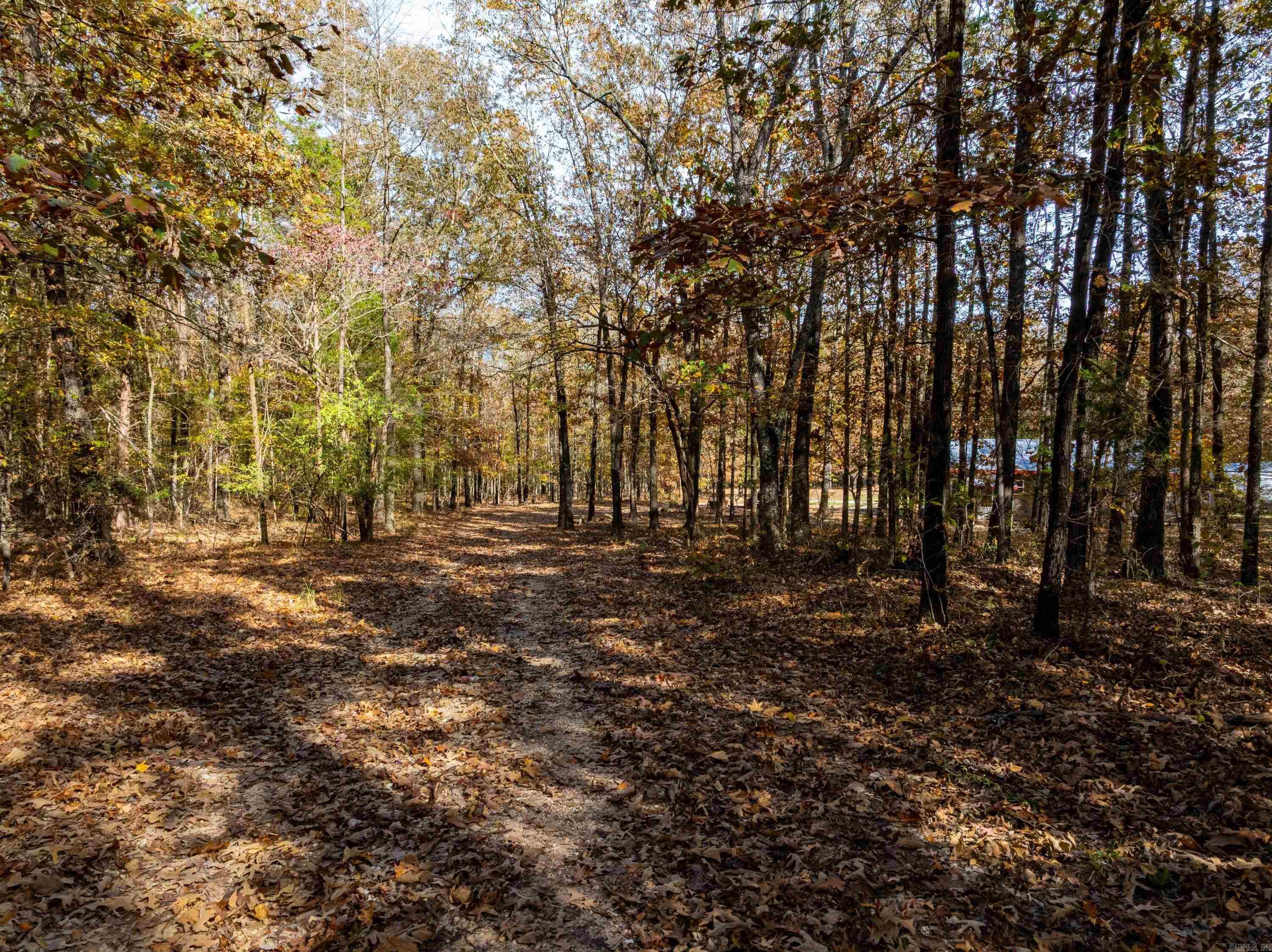 253 Judge Anderson Rd  Smithville, AR