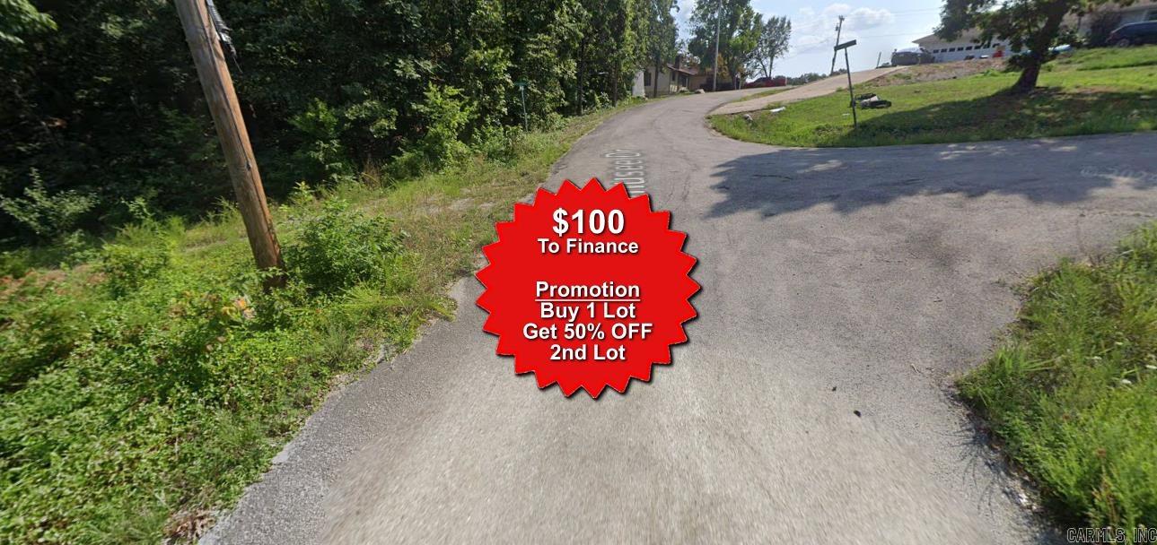 Lot 19 Webaunsee  Cherokee Village, AR