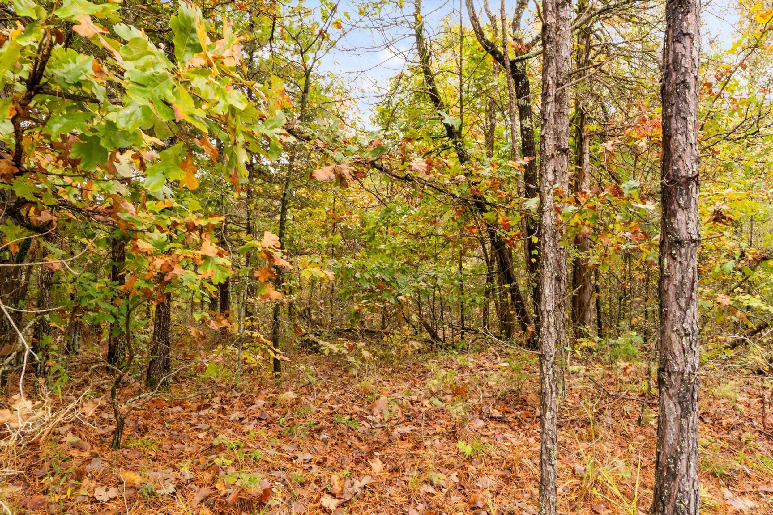 001-01814-000 CR 68  Norfork, AR