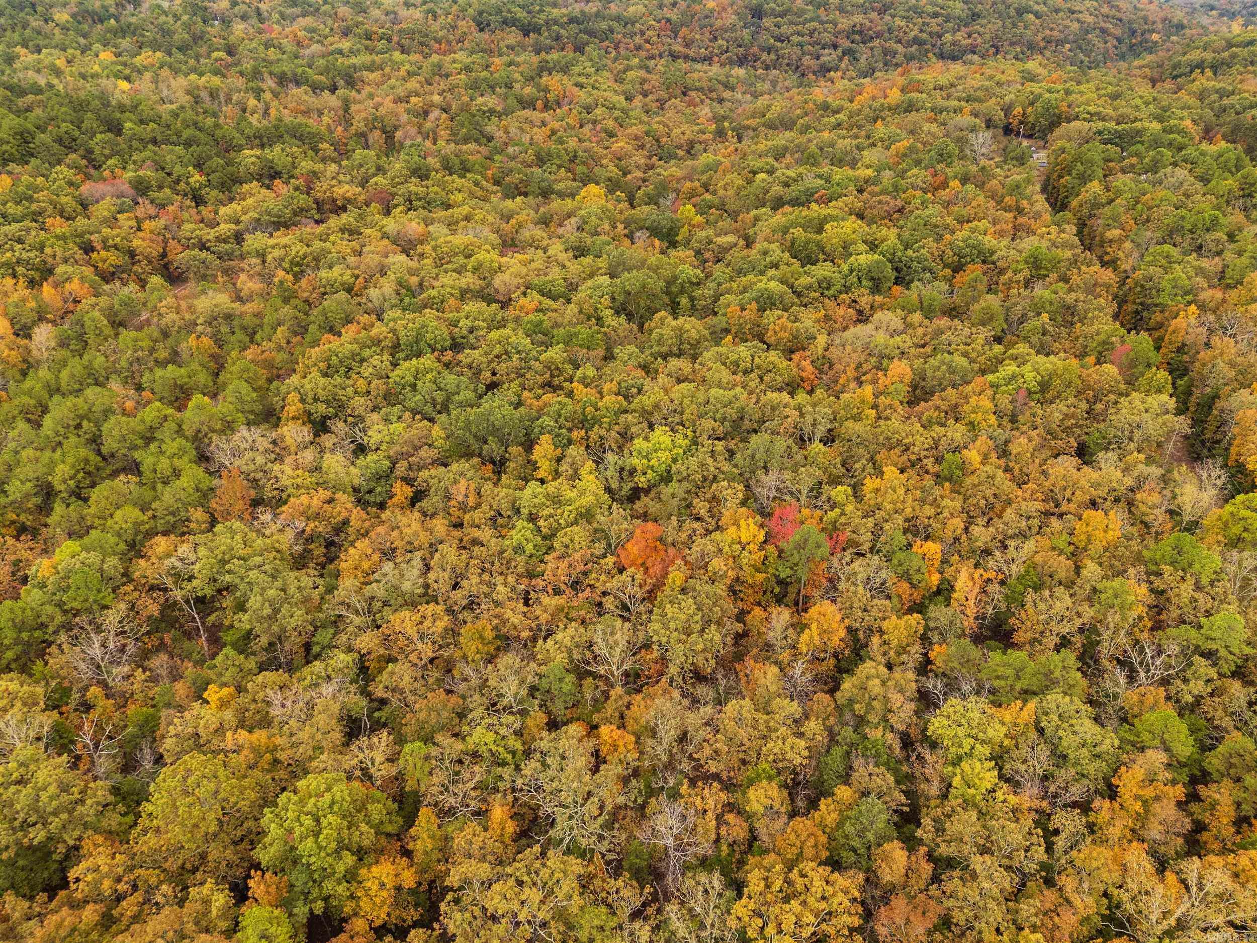 001-01814-000 CR 68  Norfork, AR