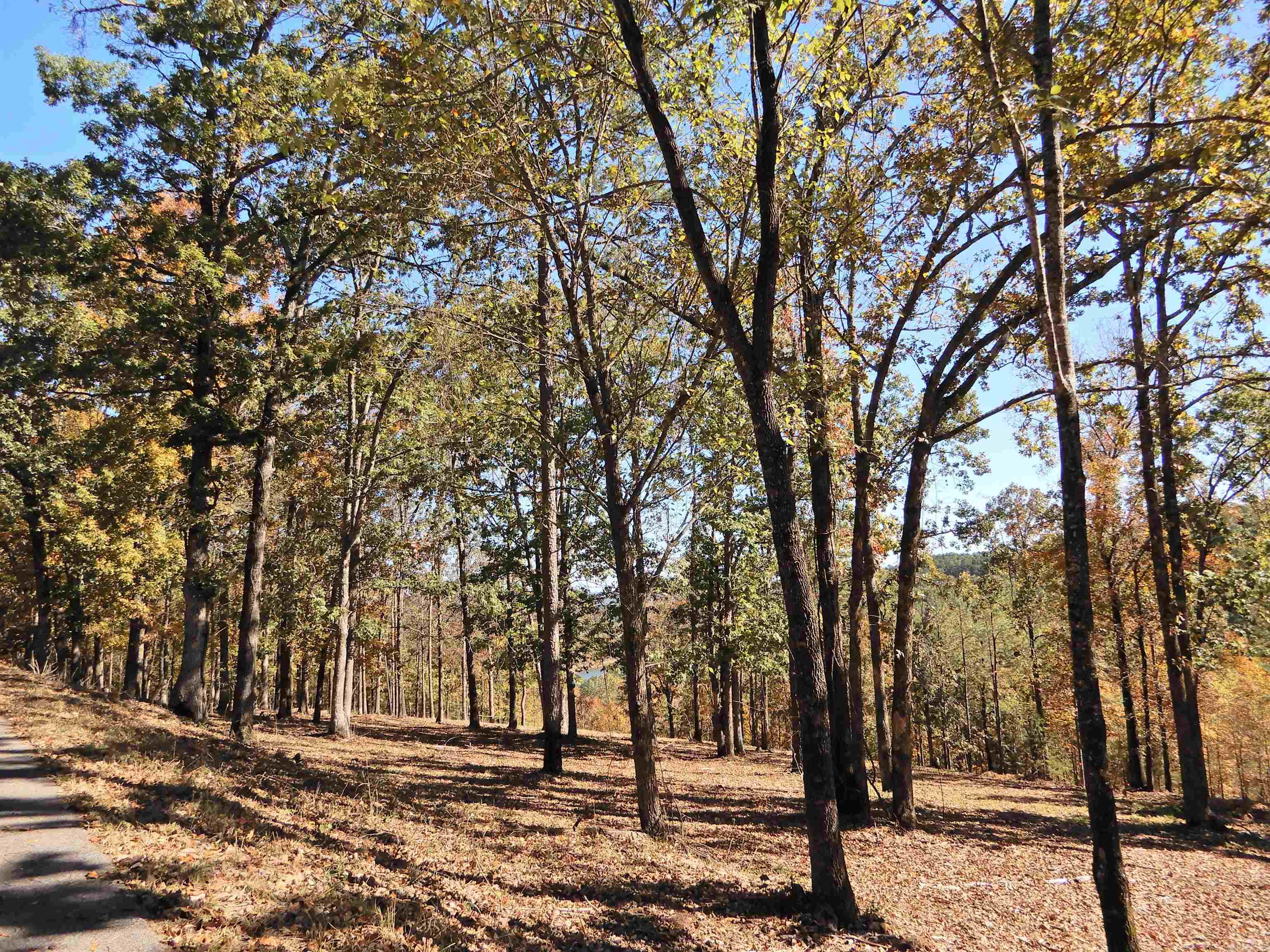 Lot 33, 34 & 35 Watersedge  Edgemont, AR
