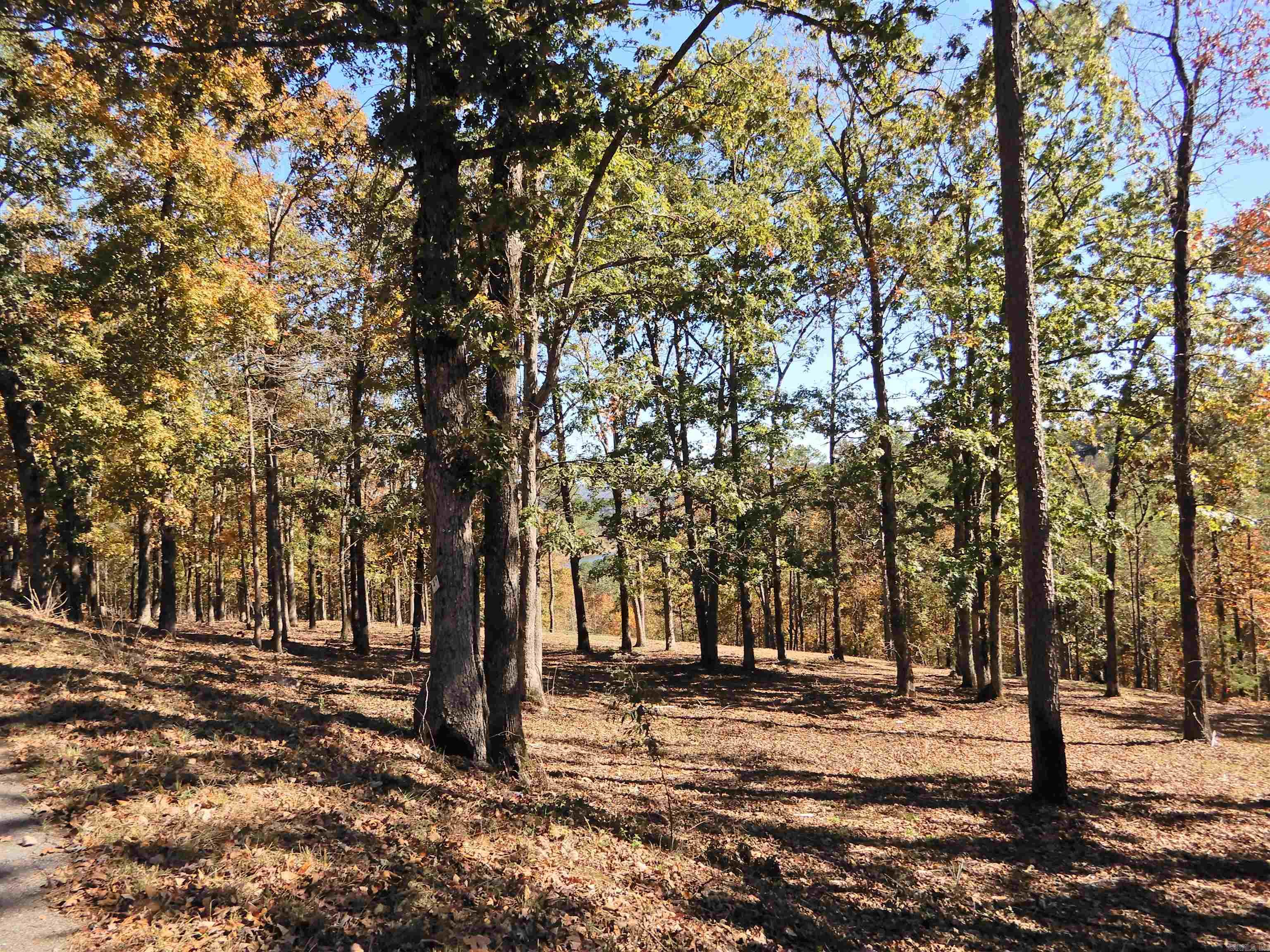 Lot 33, 34 & 35 Watersedge  Edgemont, AR