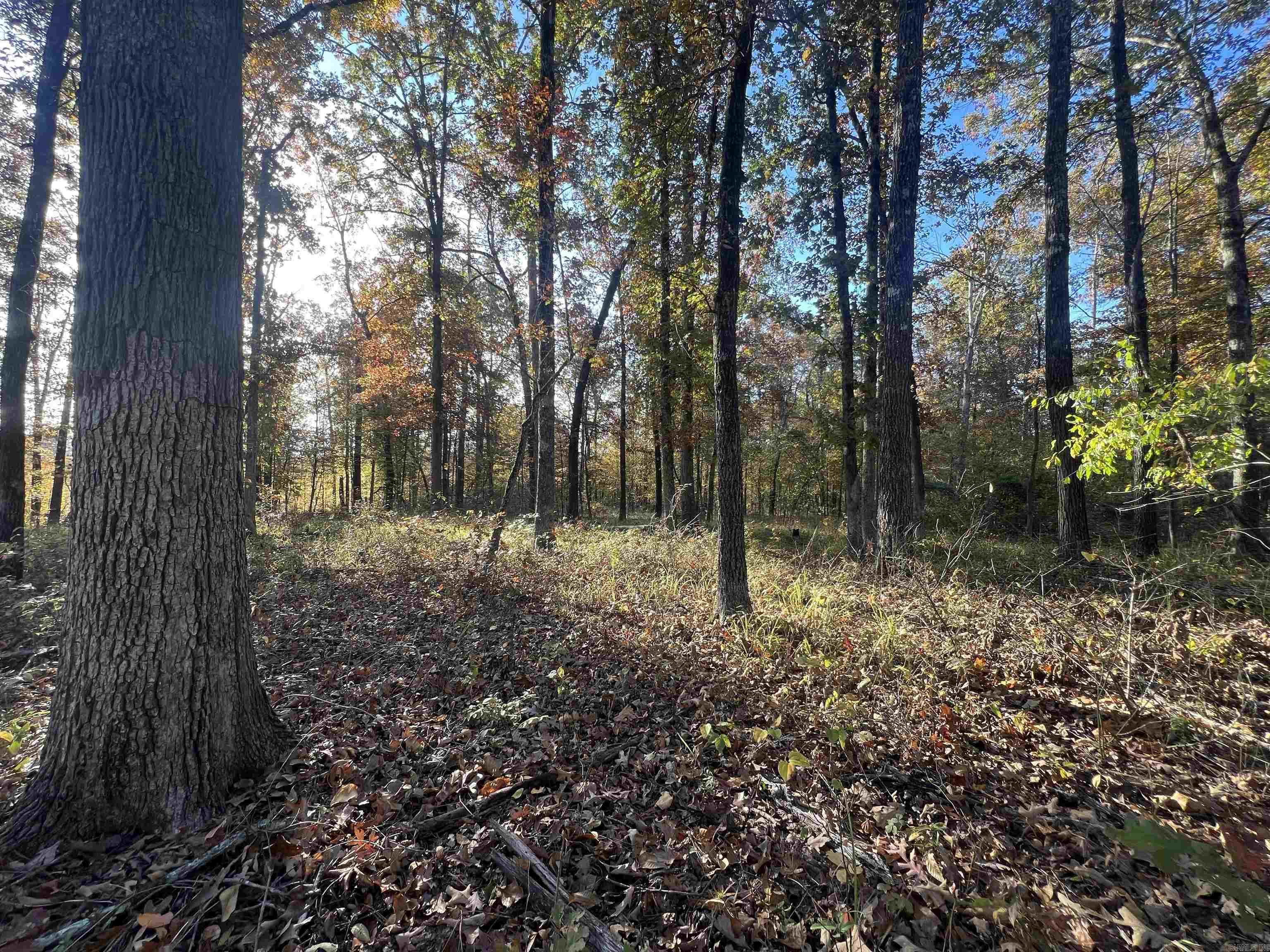 000 Sulpher Springs rd  Pine Bluff, AR